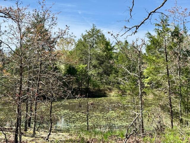 4515 Wallen Road Property Photo 41
