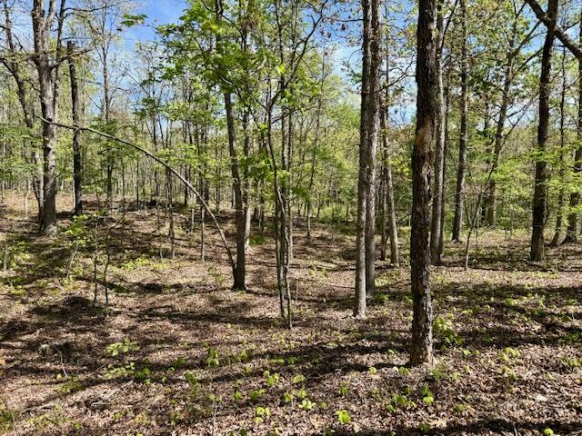 4515 Wallen Road Property Photo 55