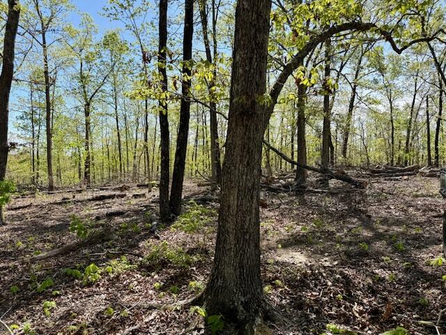 4515 Wallen Road Property Photo 56