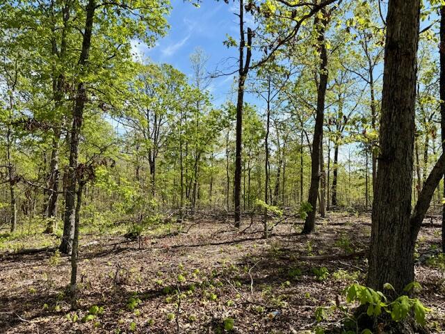 4515 Wallen Road Property Photo 57