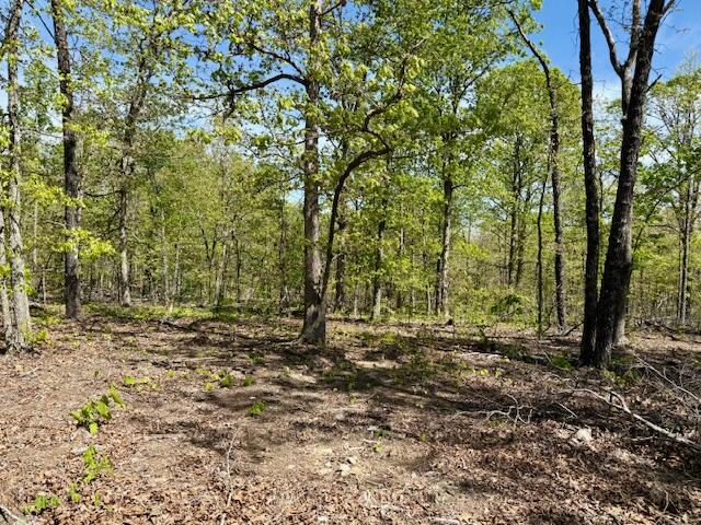 4515 Wallen Road Property Photo 58