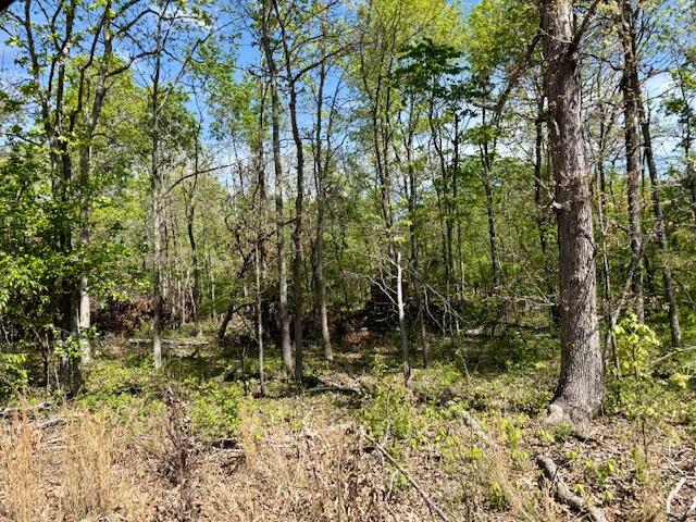 4515 Wallen Road Property Photo 59