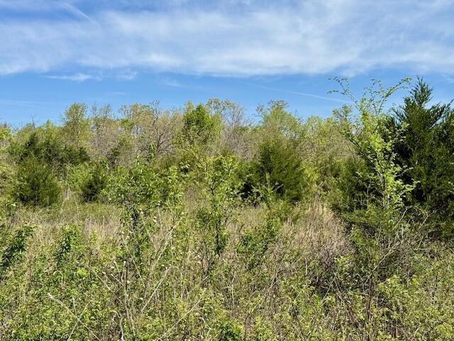 4515 Wallen Road Property Photo 61