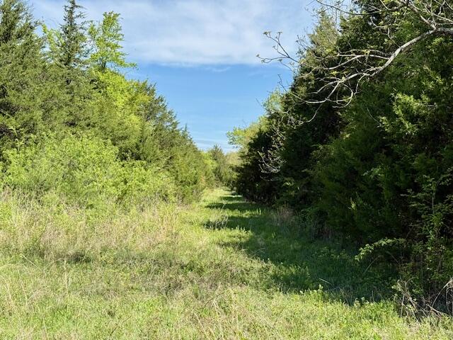 4515 Wallen Road Property Photo 63