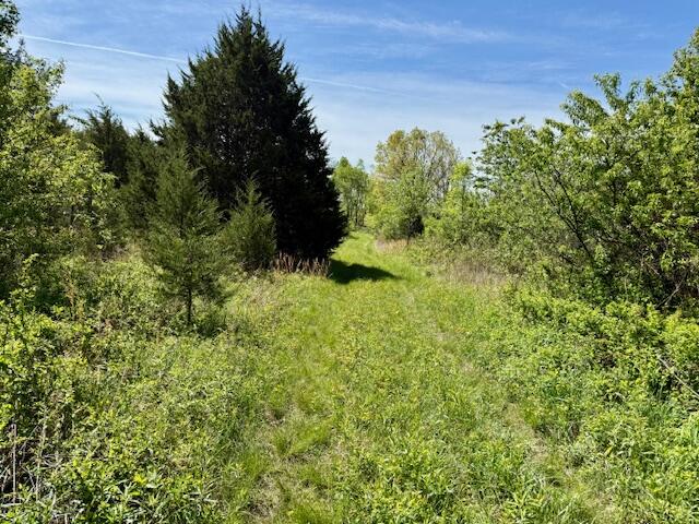 4515 Wallen Road Property Photo 64