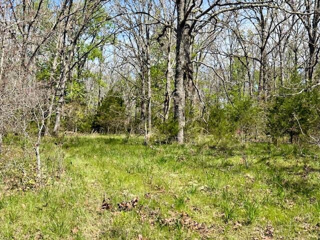 4515 Wallen Road Property Photo 66