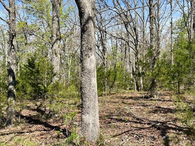 4515 Wallen Road Property Photo 67