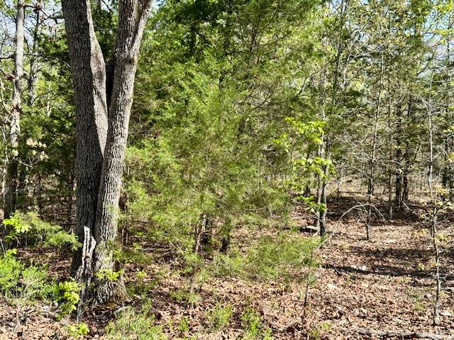 4515 Wallen Road Property Photo 68