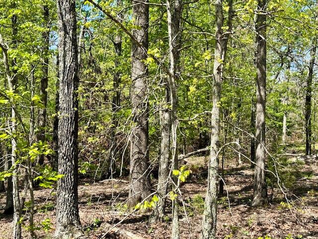 4515 Wallen Road Property Photo 69