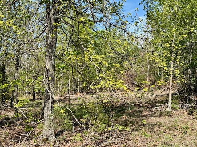 4515 Wallen Road Property Photo 70