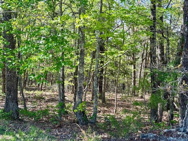 4515 Wallen Road Property Photo 71