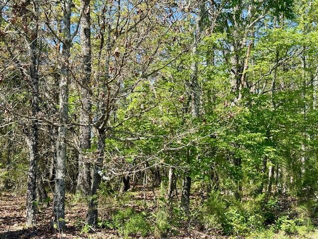 4515 Wallen Road Property Photo 72
