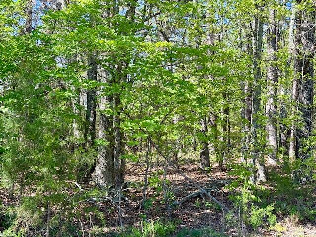4515 Wallen Road Property Photo 73