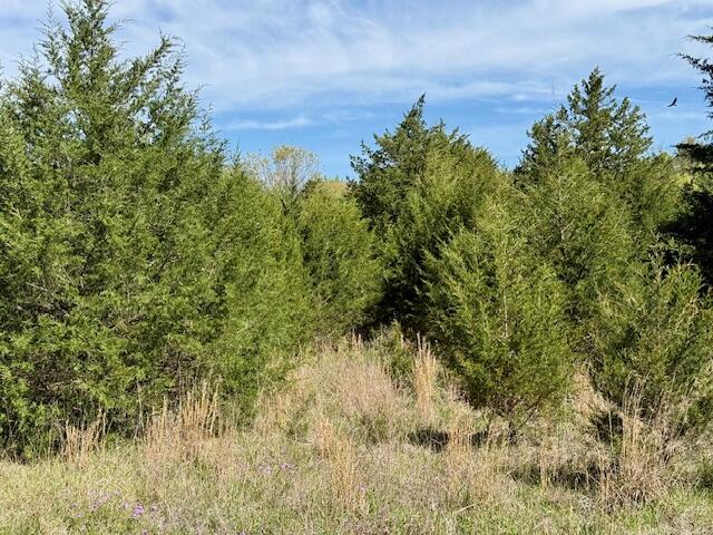4515 Wallen Road Property Photo 74
