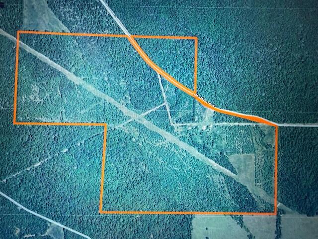 4515 Wallen Road Property Photo 75
