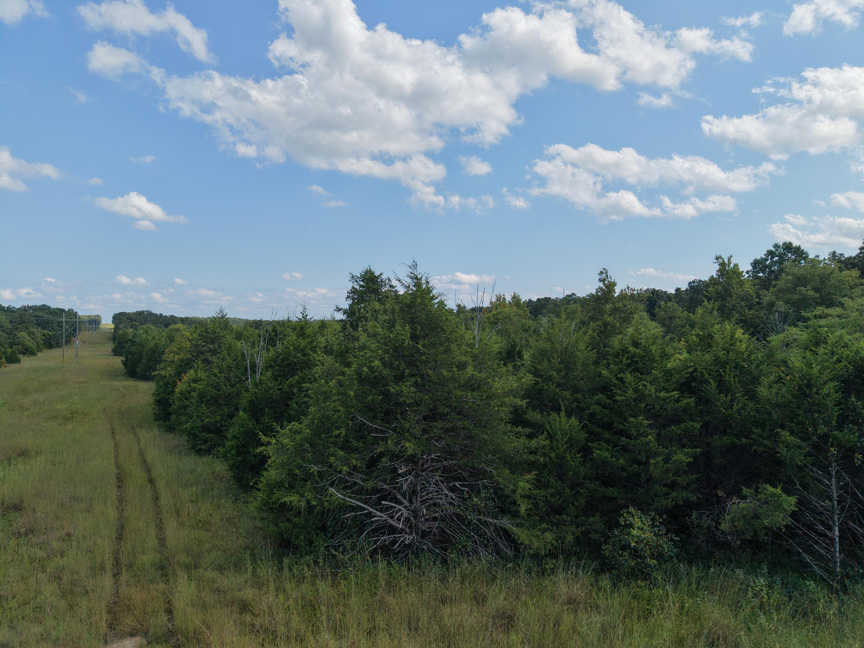 4515 Wallen Road Property Photo 76