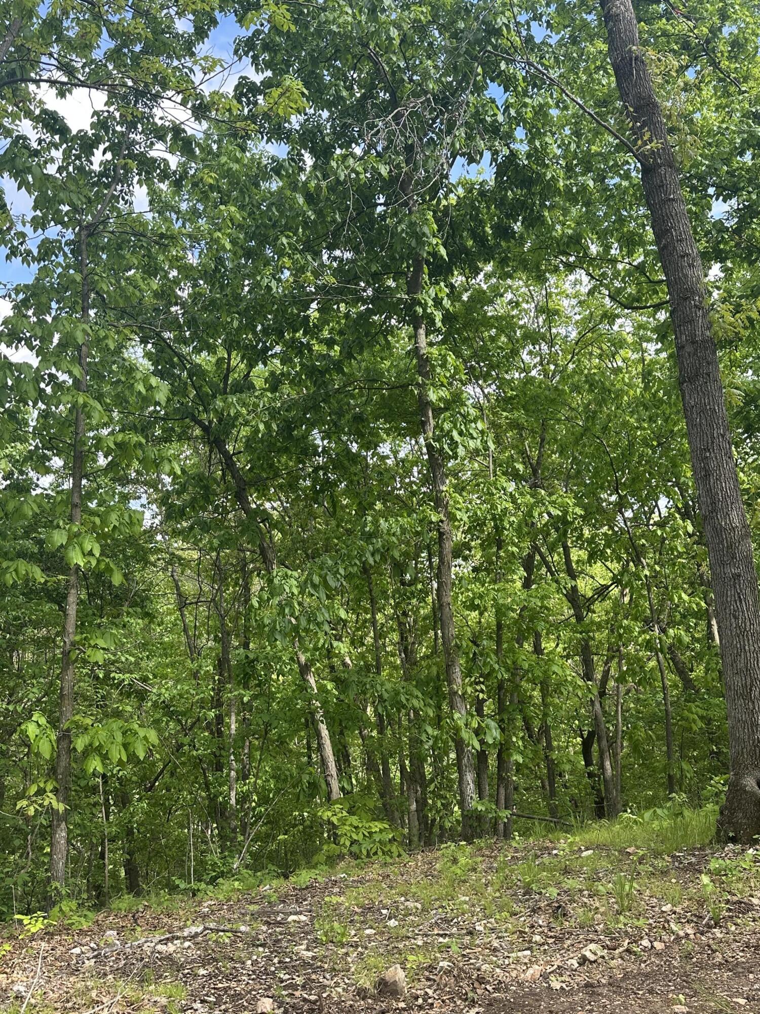 Tract 2 West Farm Road 36 Property Photo 18