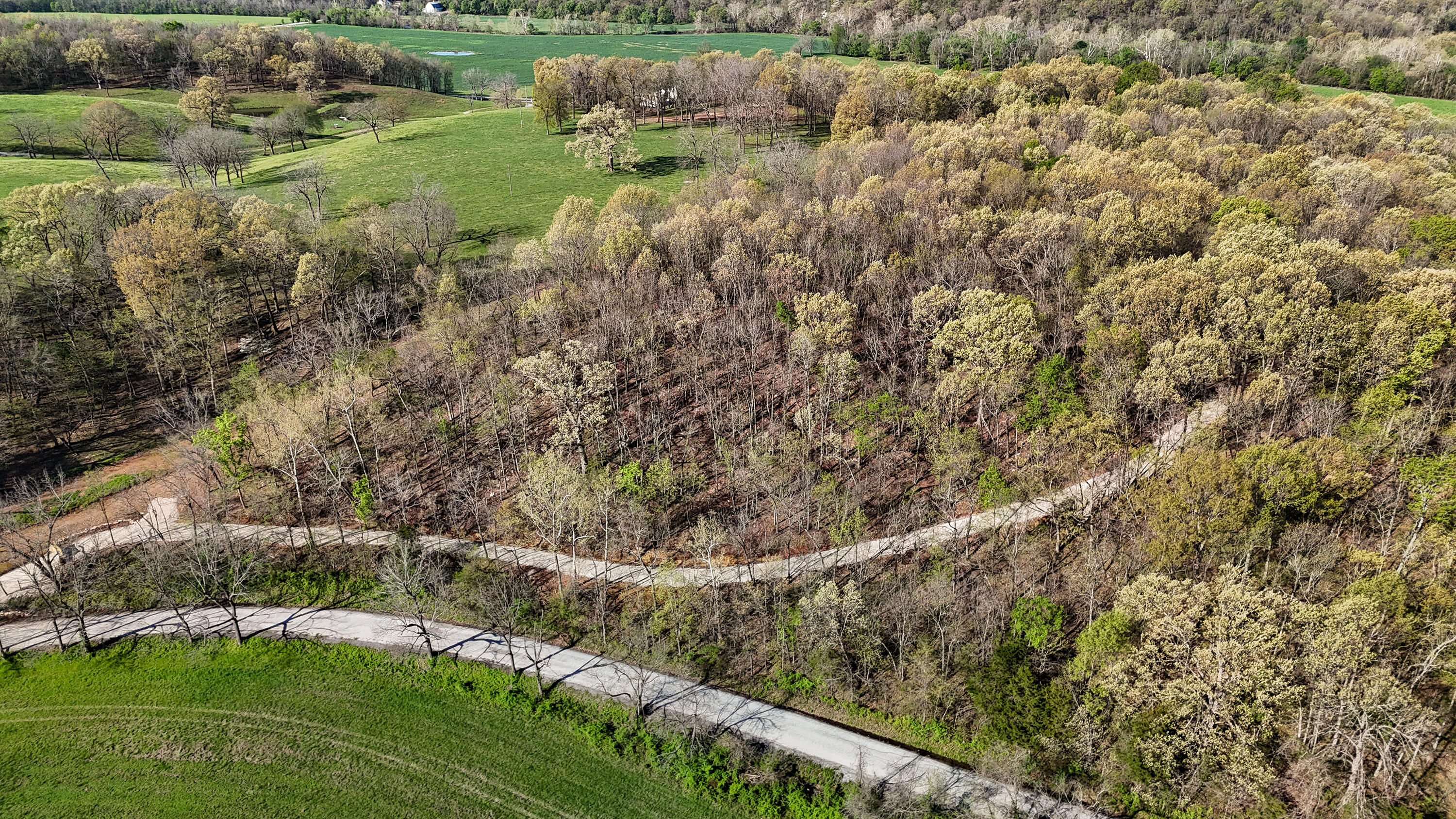 Tract 2 West Farm Road 36 Property Photo 29
