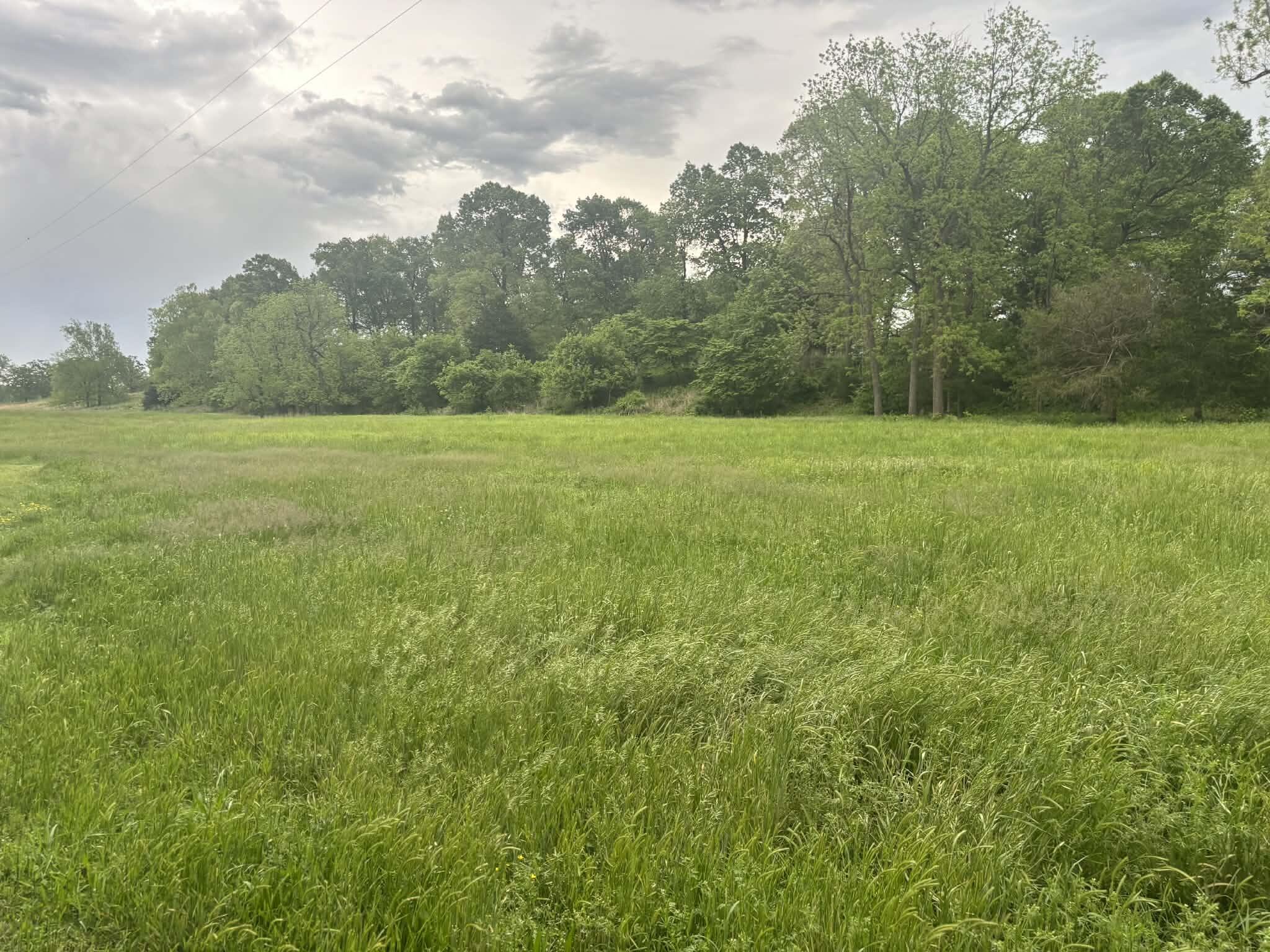 336 Wills Lane Property Photo 11