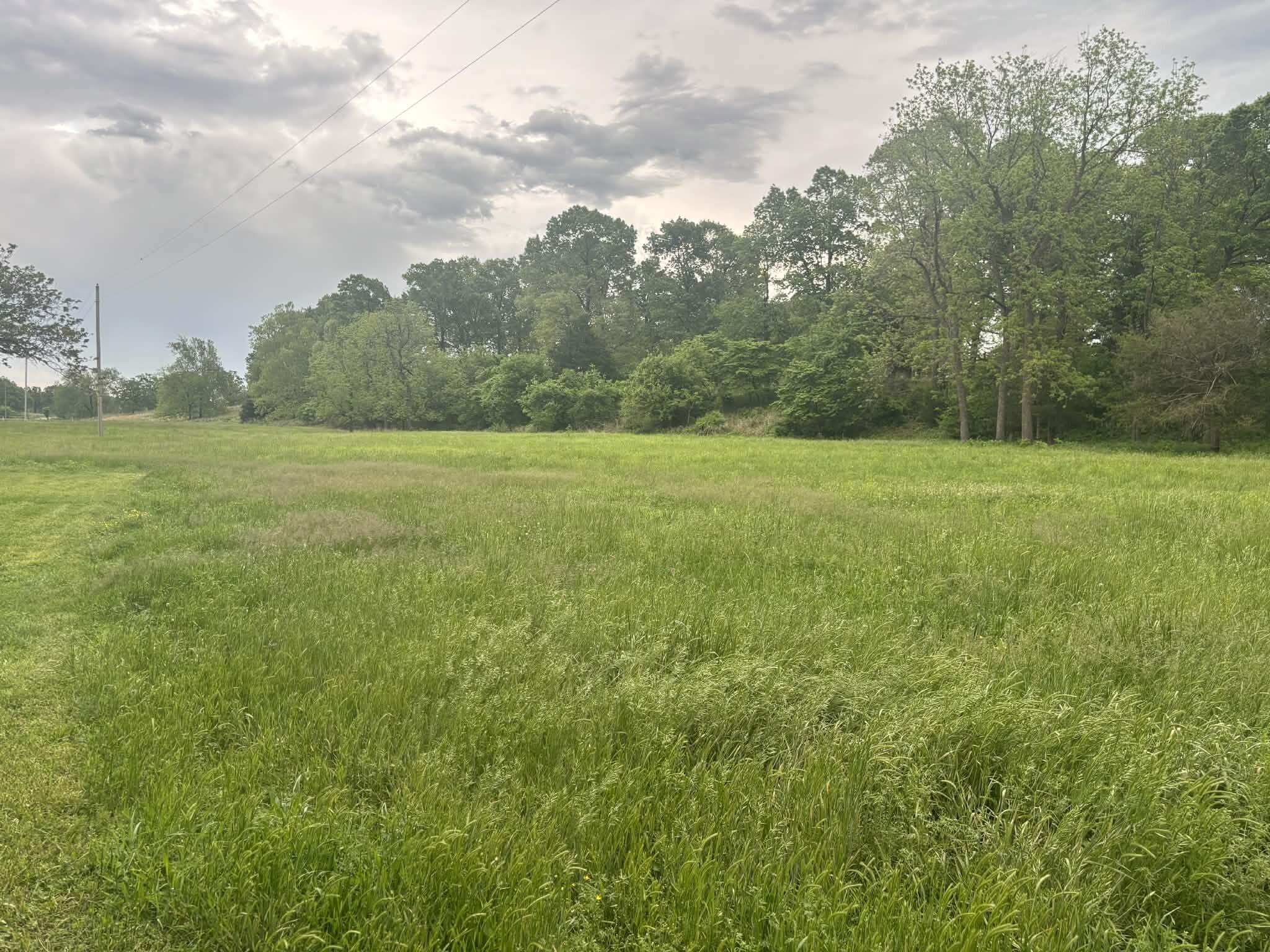 336 Wills Lane Property Photo 13
