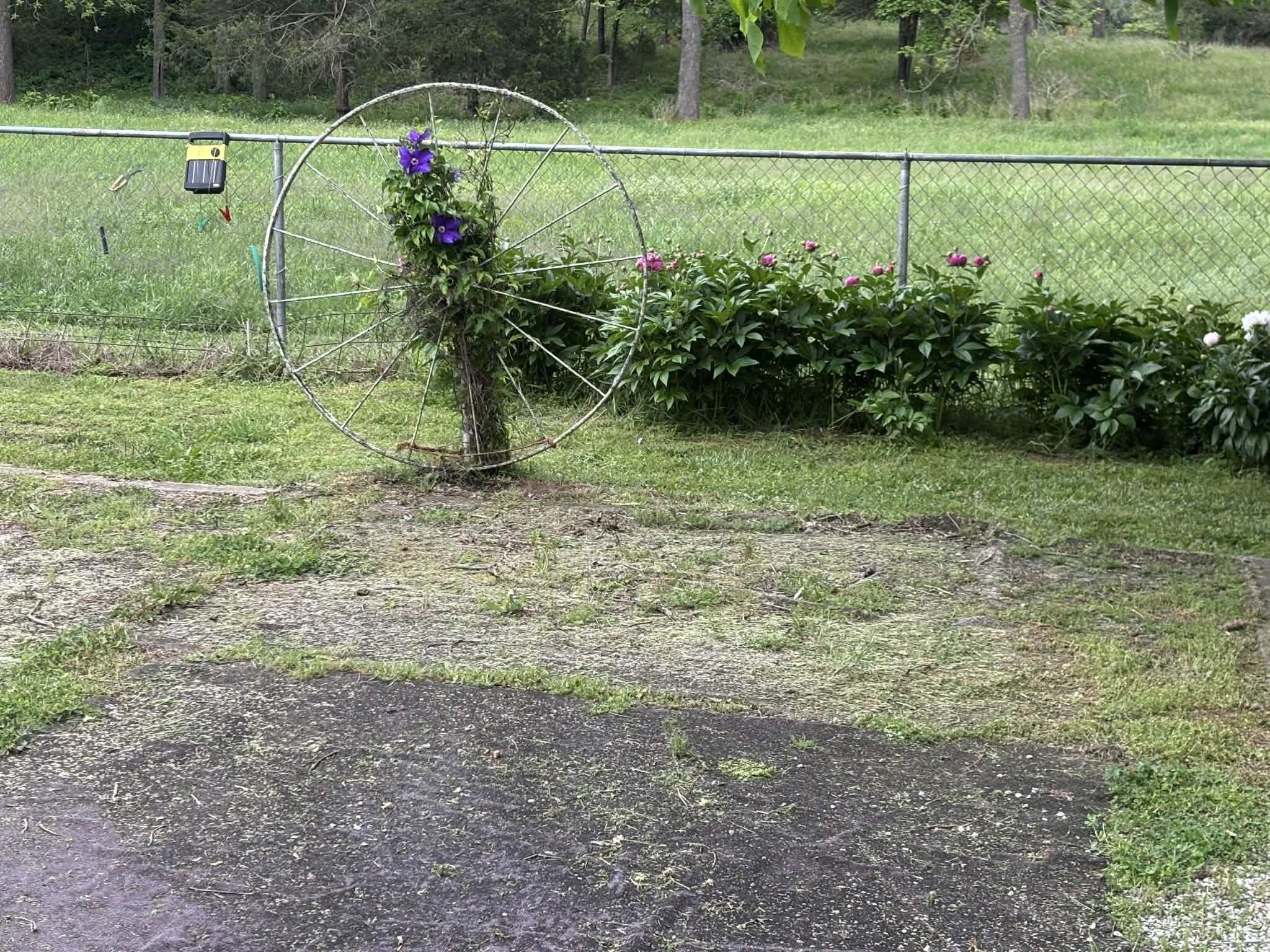 336 Wills Lane Property Photo 23