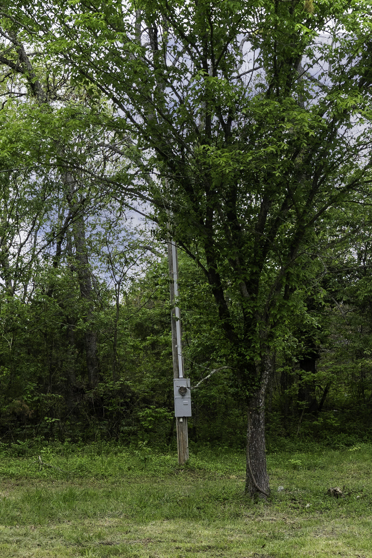 217 Woodland Property Photo 6