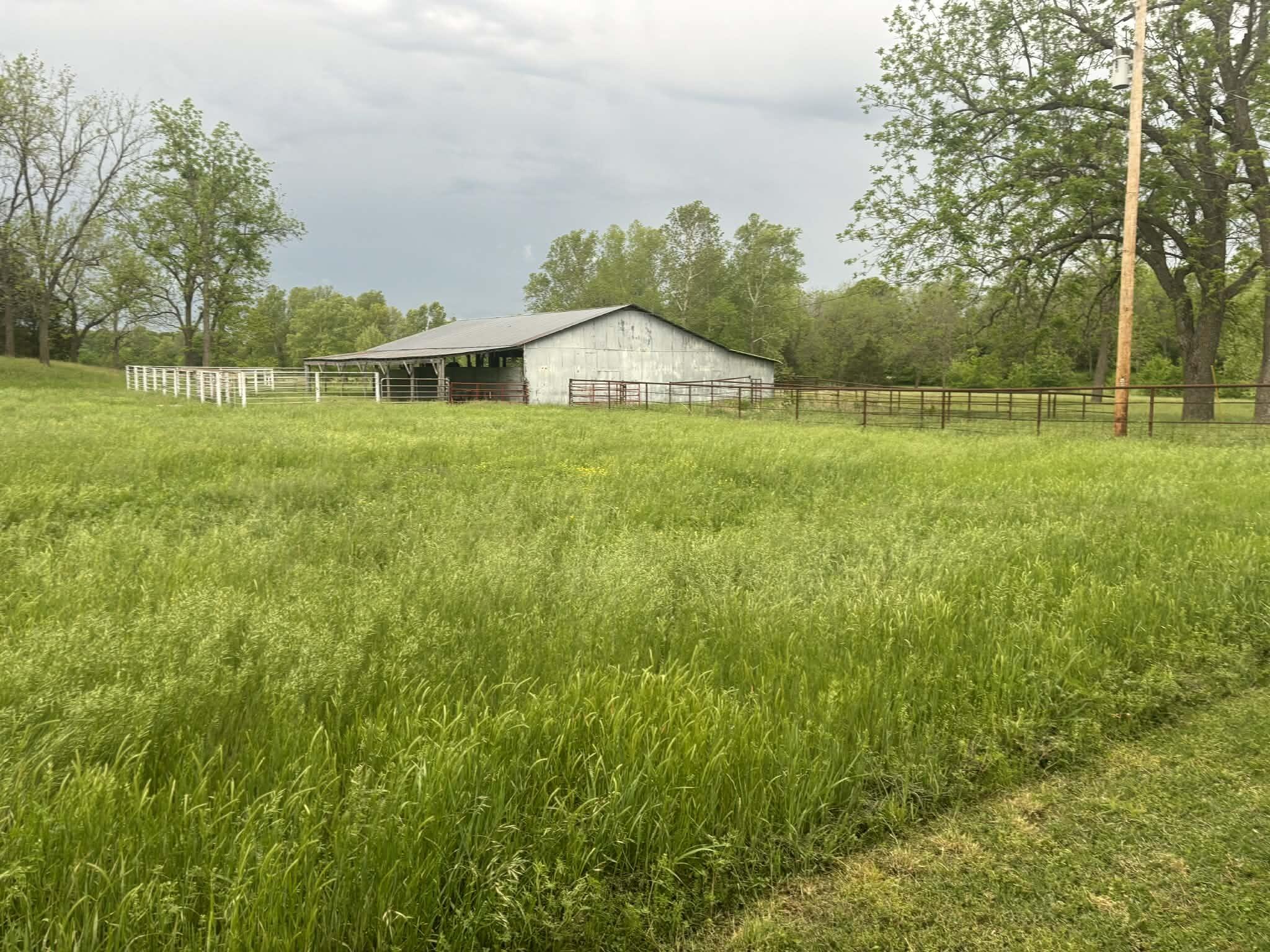 336 Wills Lane Property Photo 10