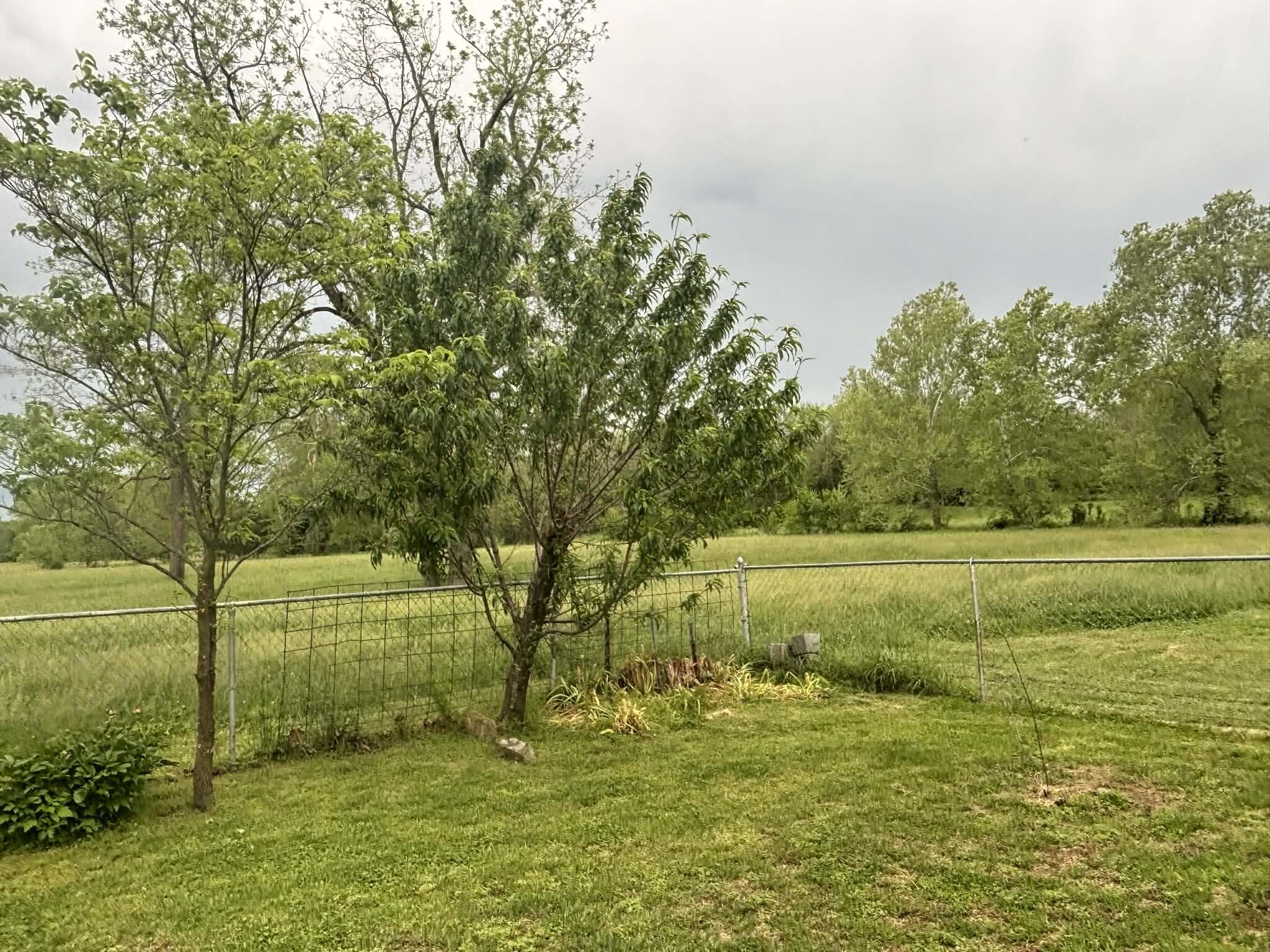 336 Wills Lane Property Photo 16