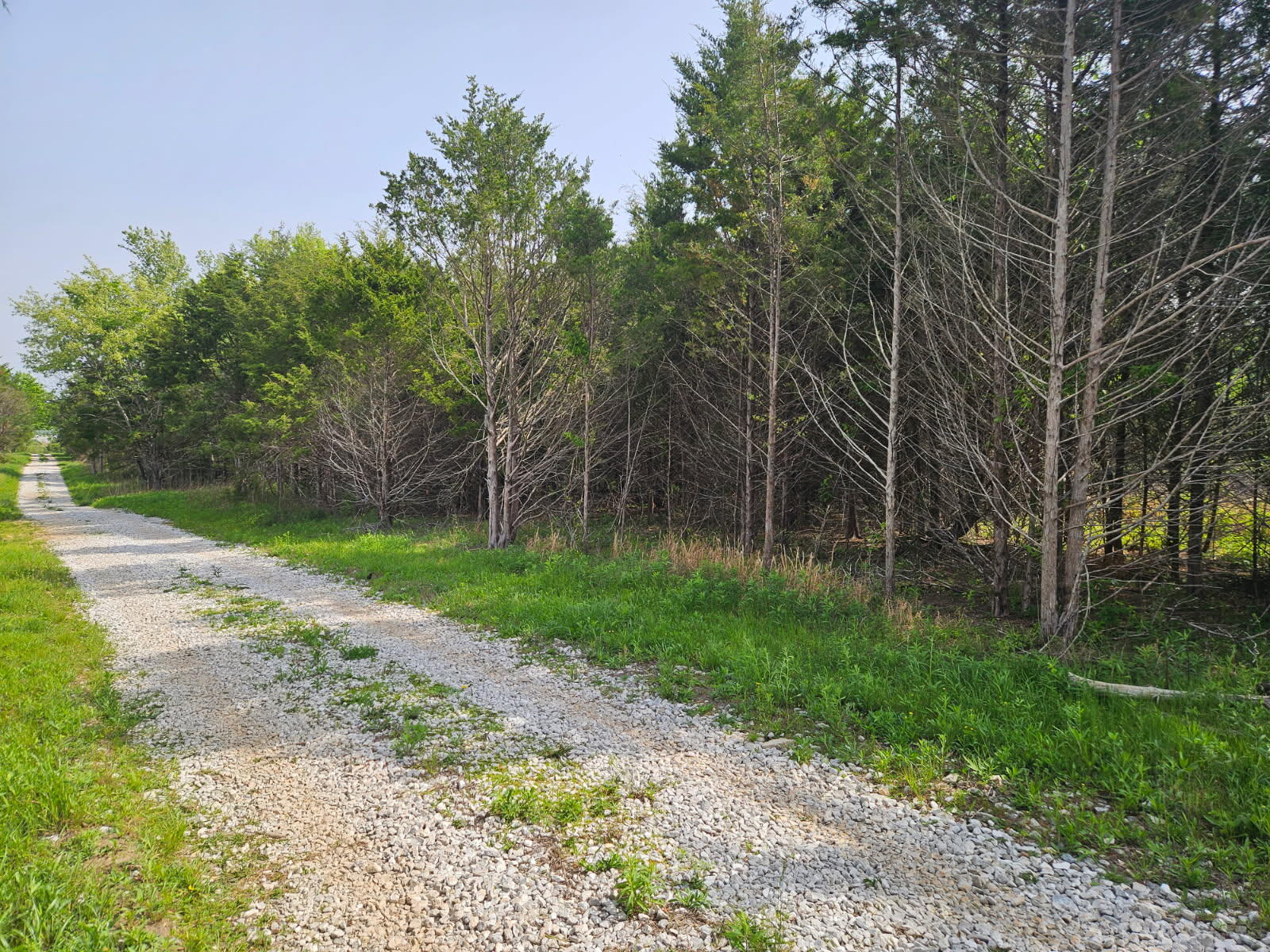 226 Lilac Tract E Lane Tract E Property Photo 1