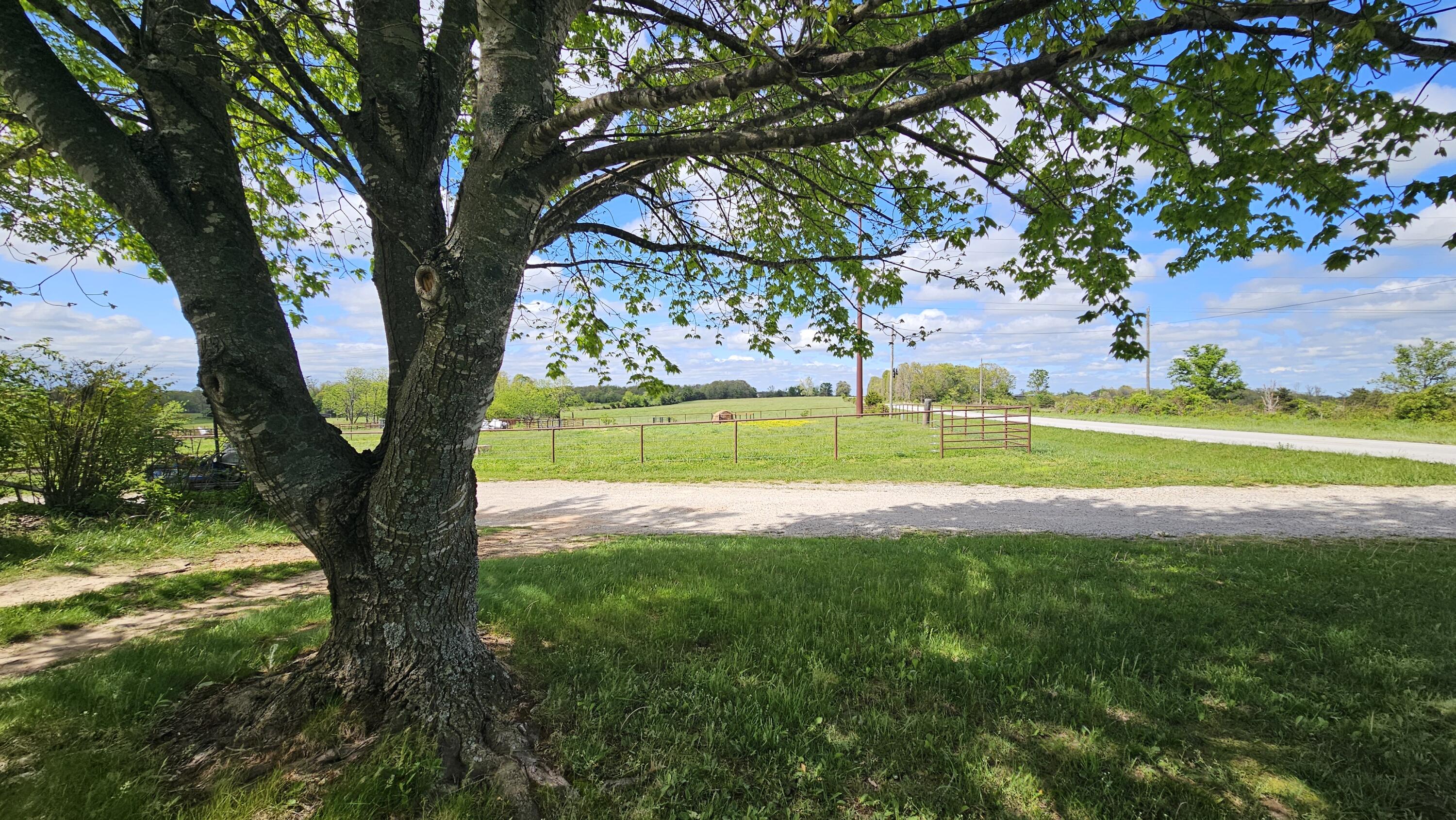 2437 State Highway Y Property Photo 8
