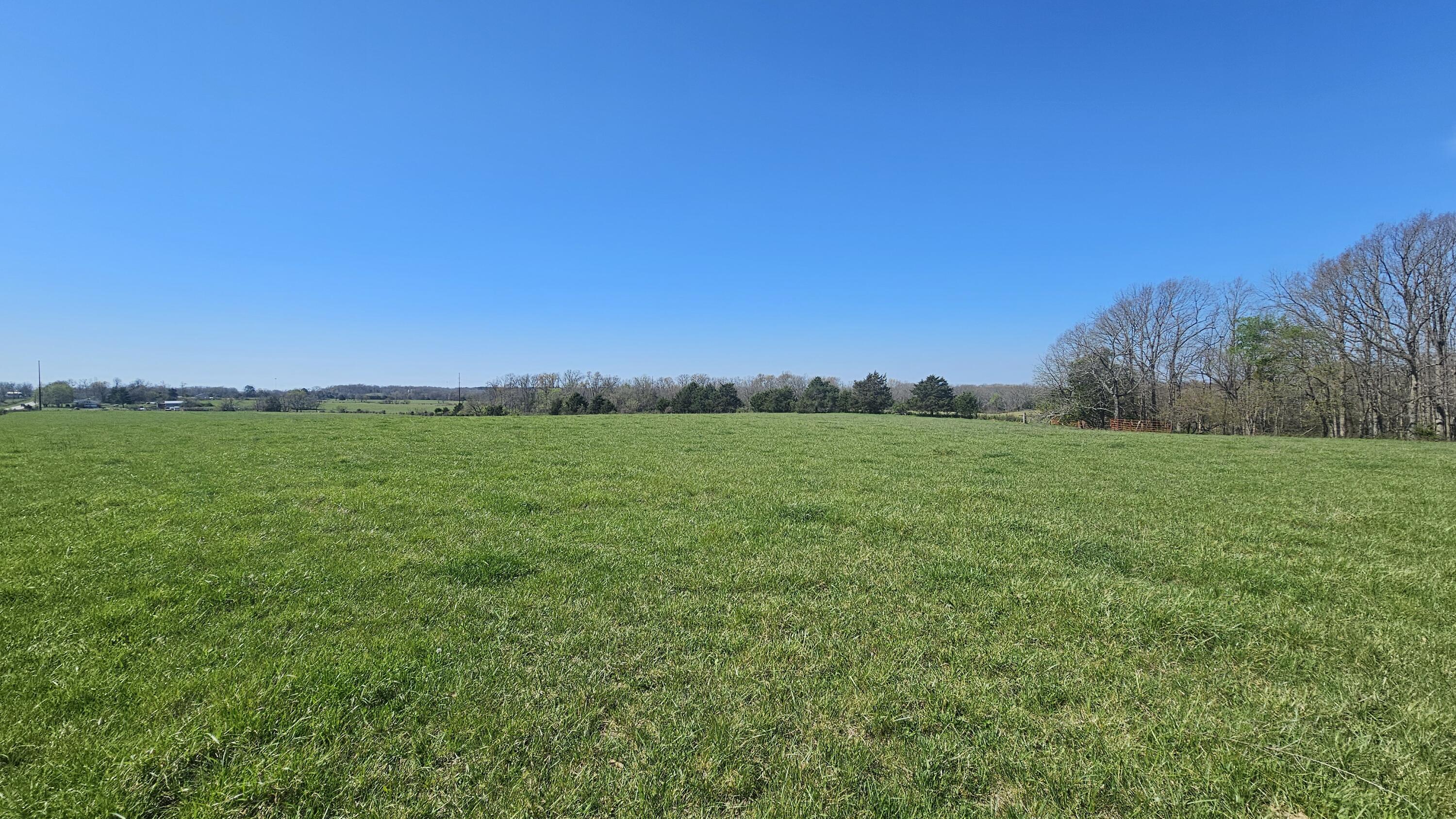 2437 State Highway Y Property Photo 20