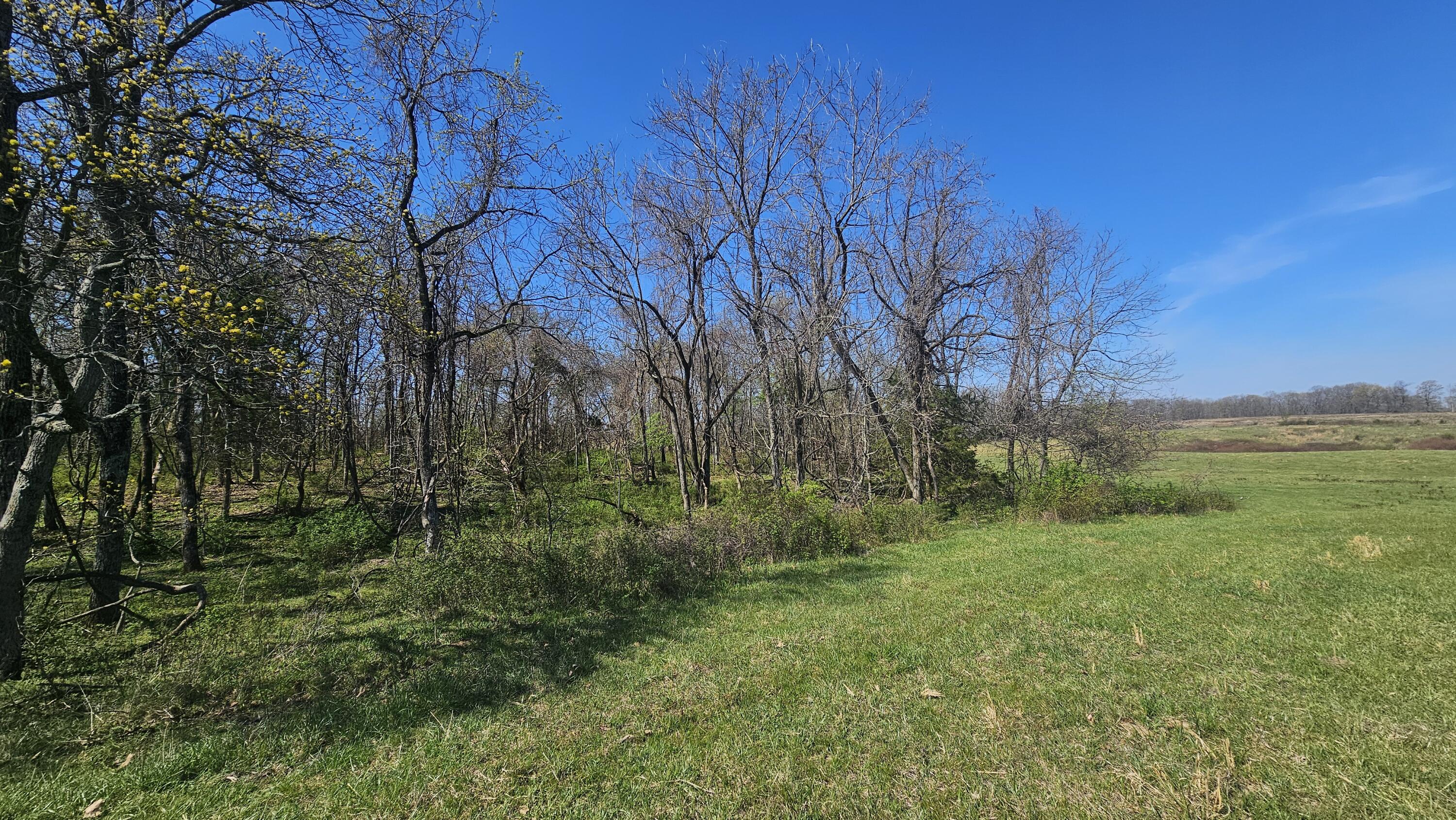 2437 State Highway Y Property Photo 52