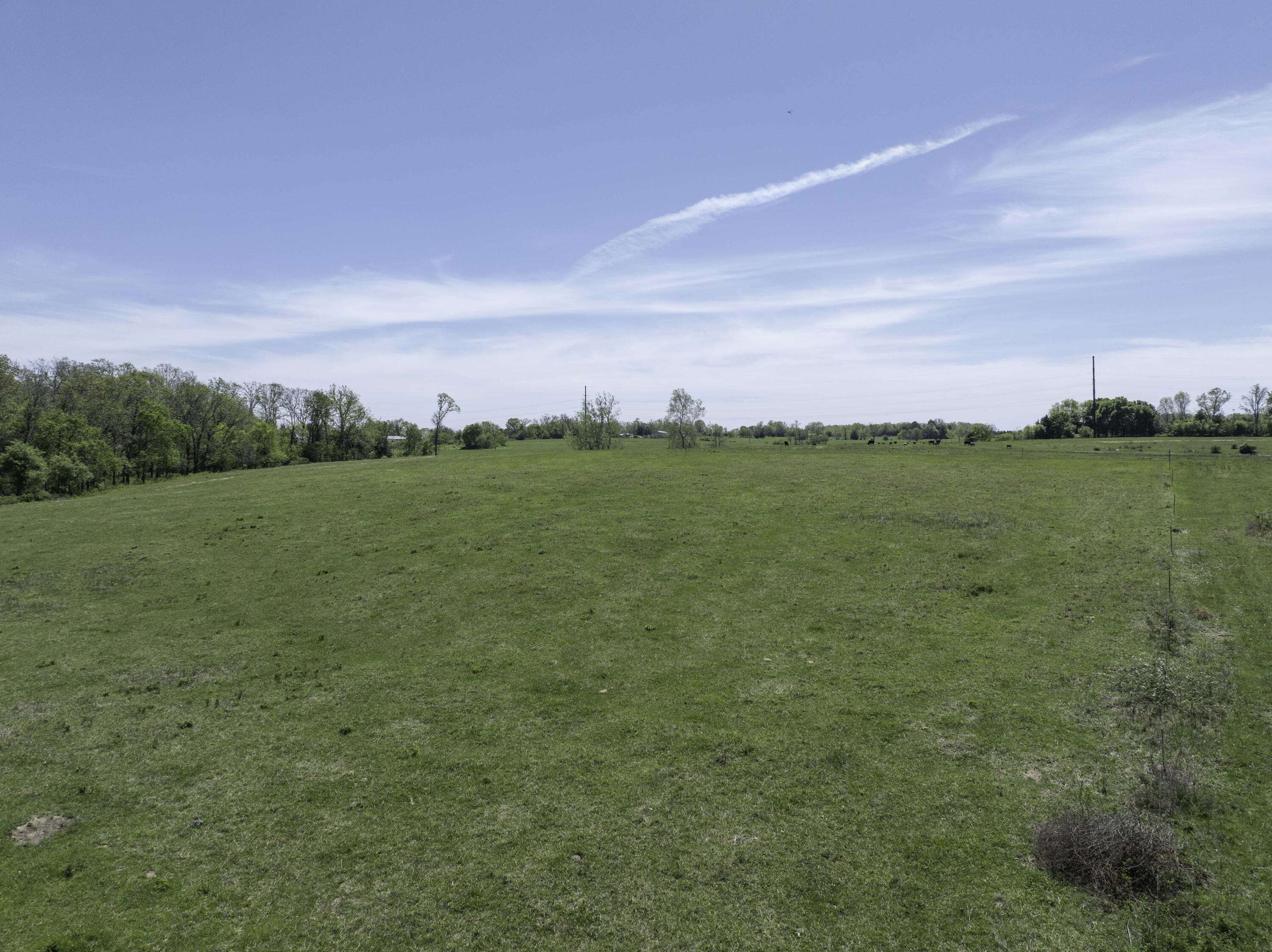 2437 State Highway Y Property Photo 54