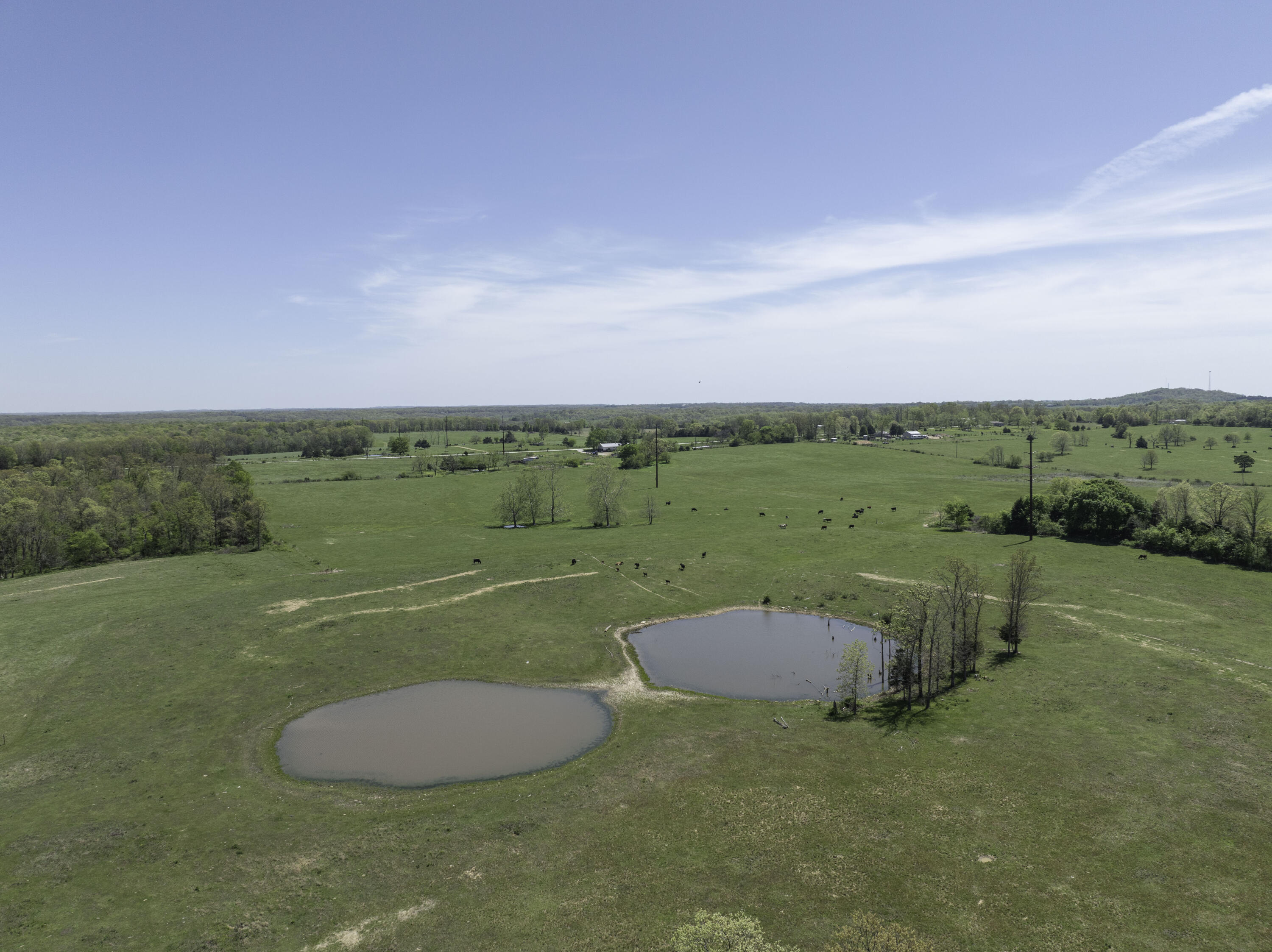 2437 State Highway Y Property Photo 56