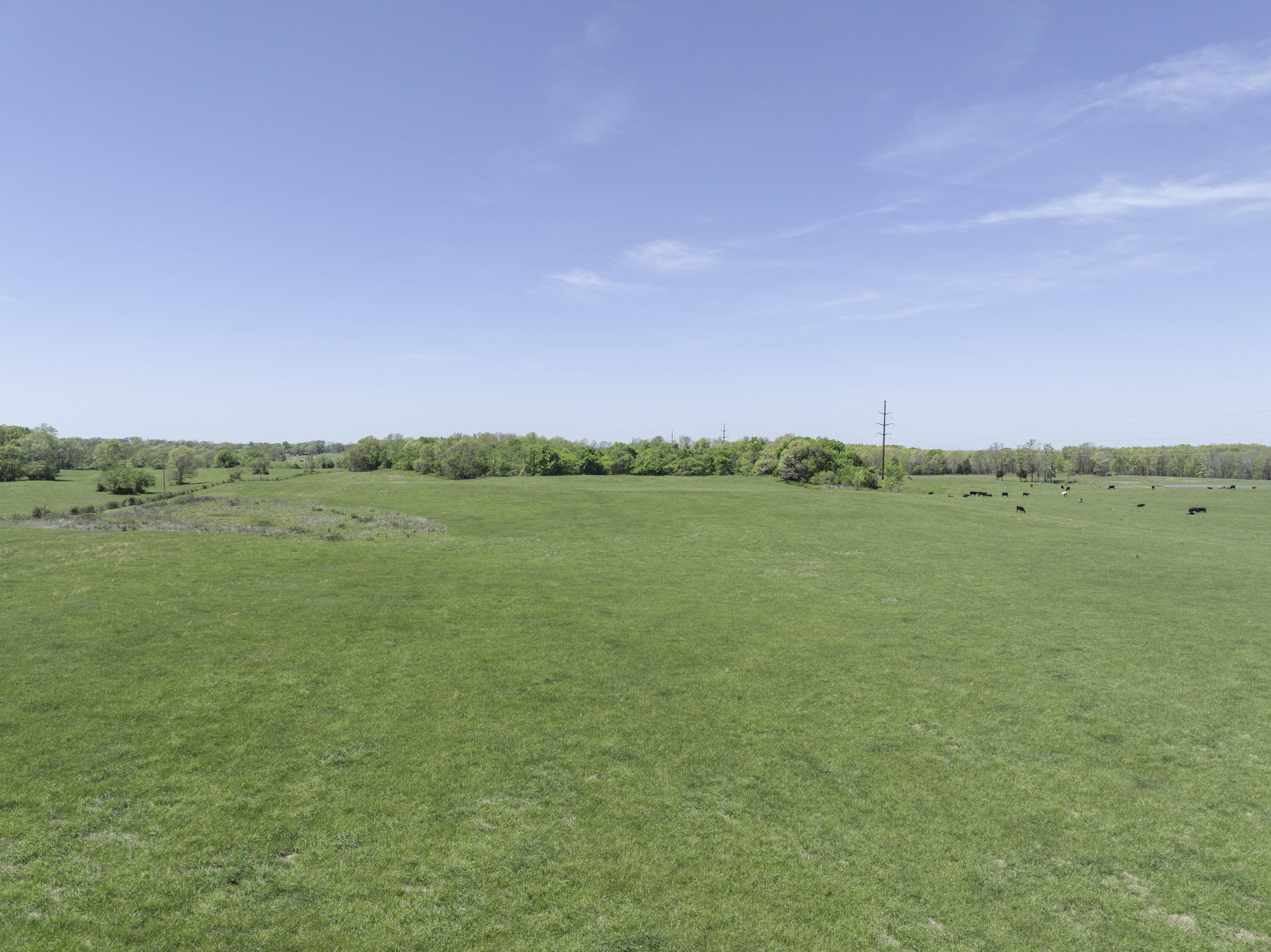 2437 State Highway Y Property Photo 60