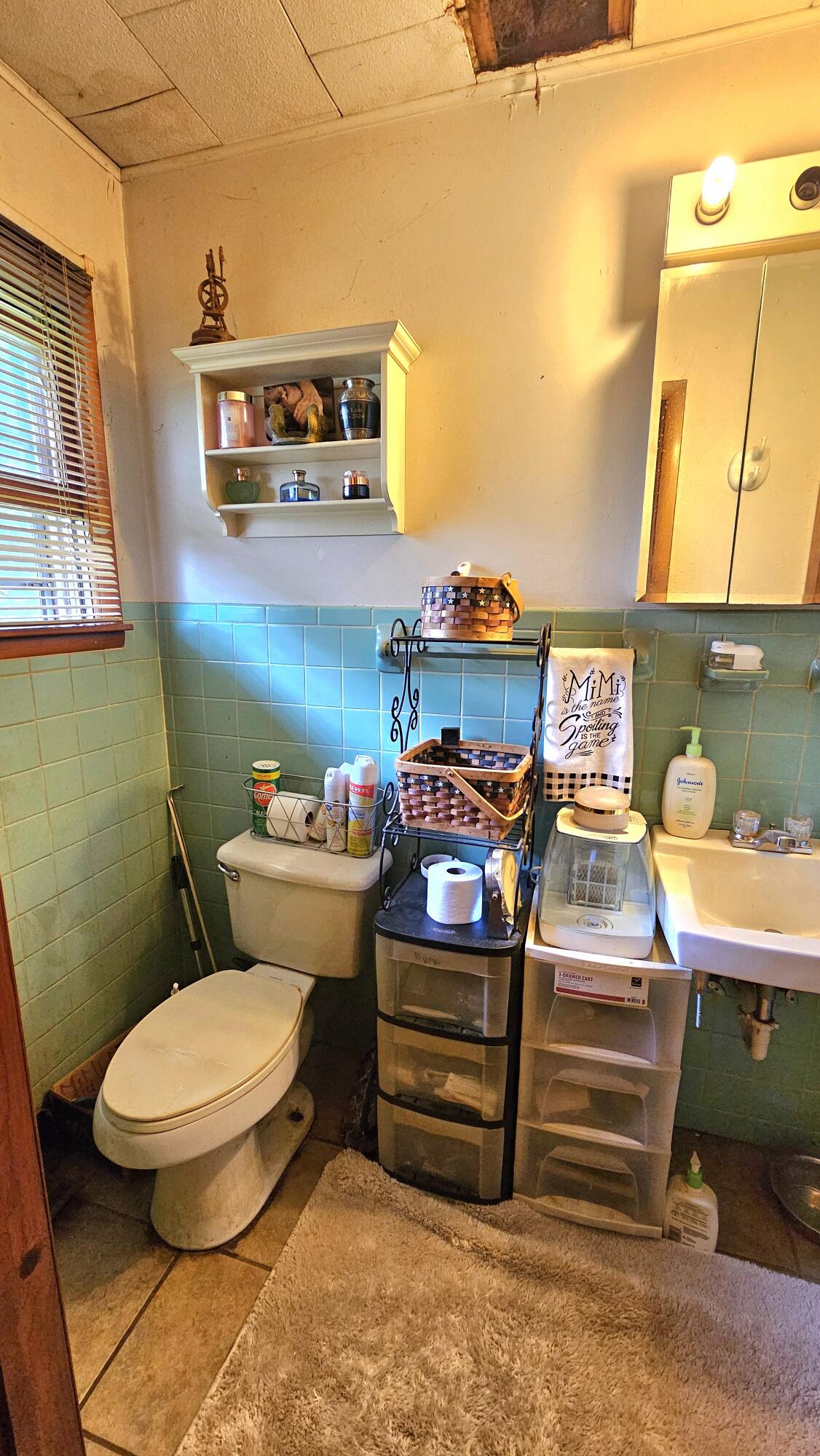 2437 State Highway Y Property Photo 31
