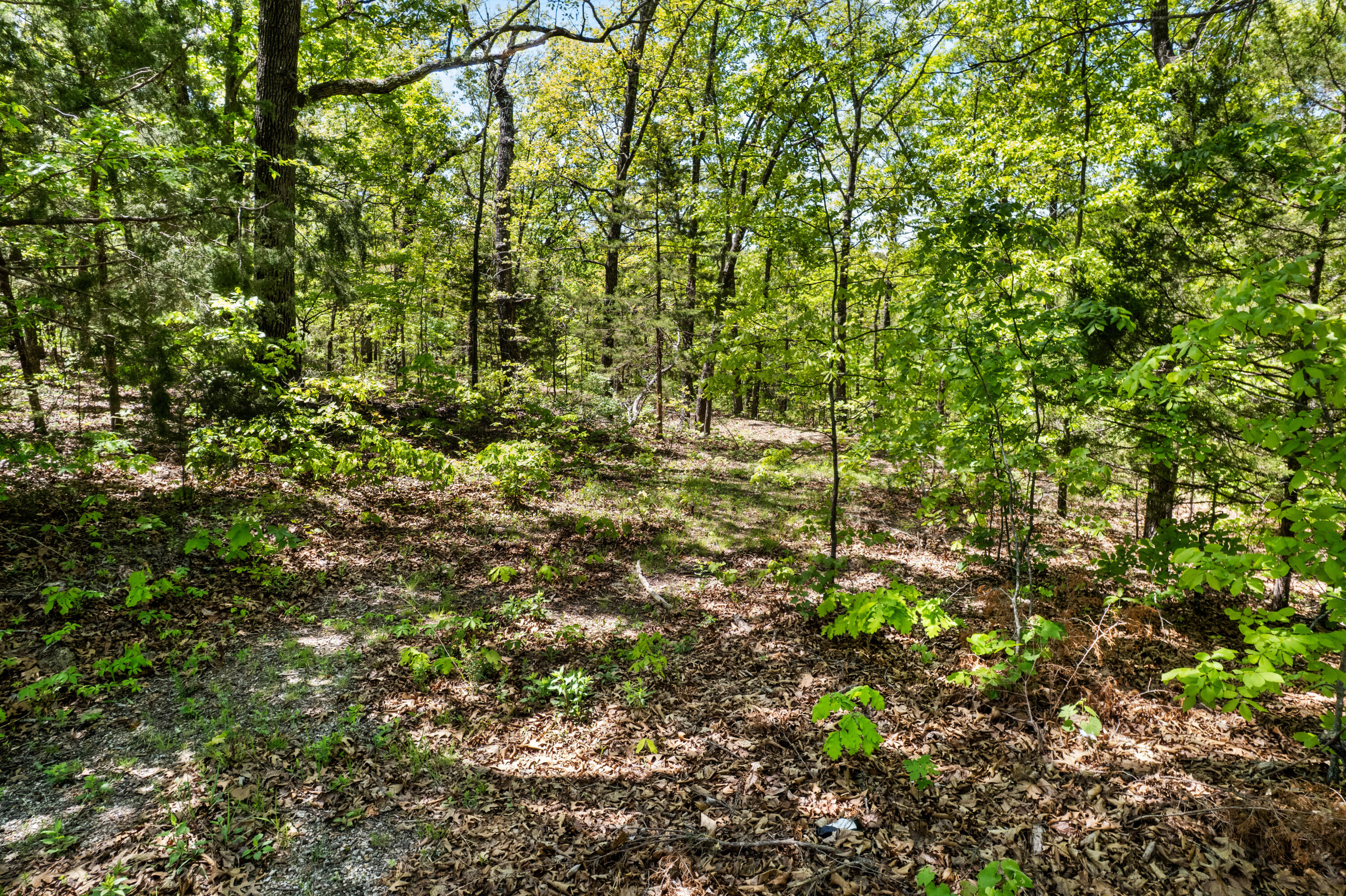6891 North State Highway 125 Property Photo 12