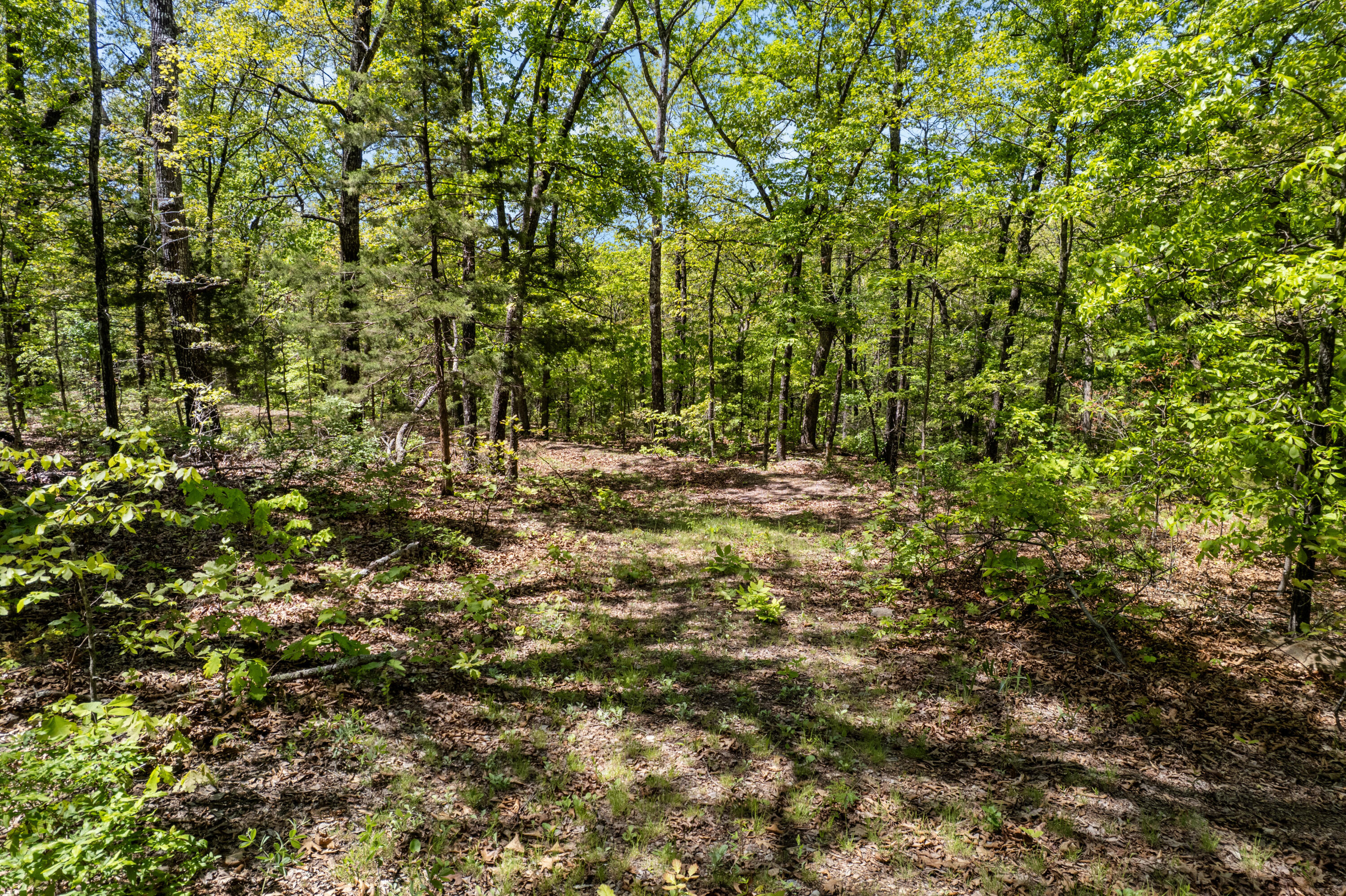 6891 North State Highway 125 Property Photo 13