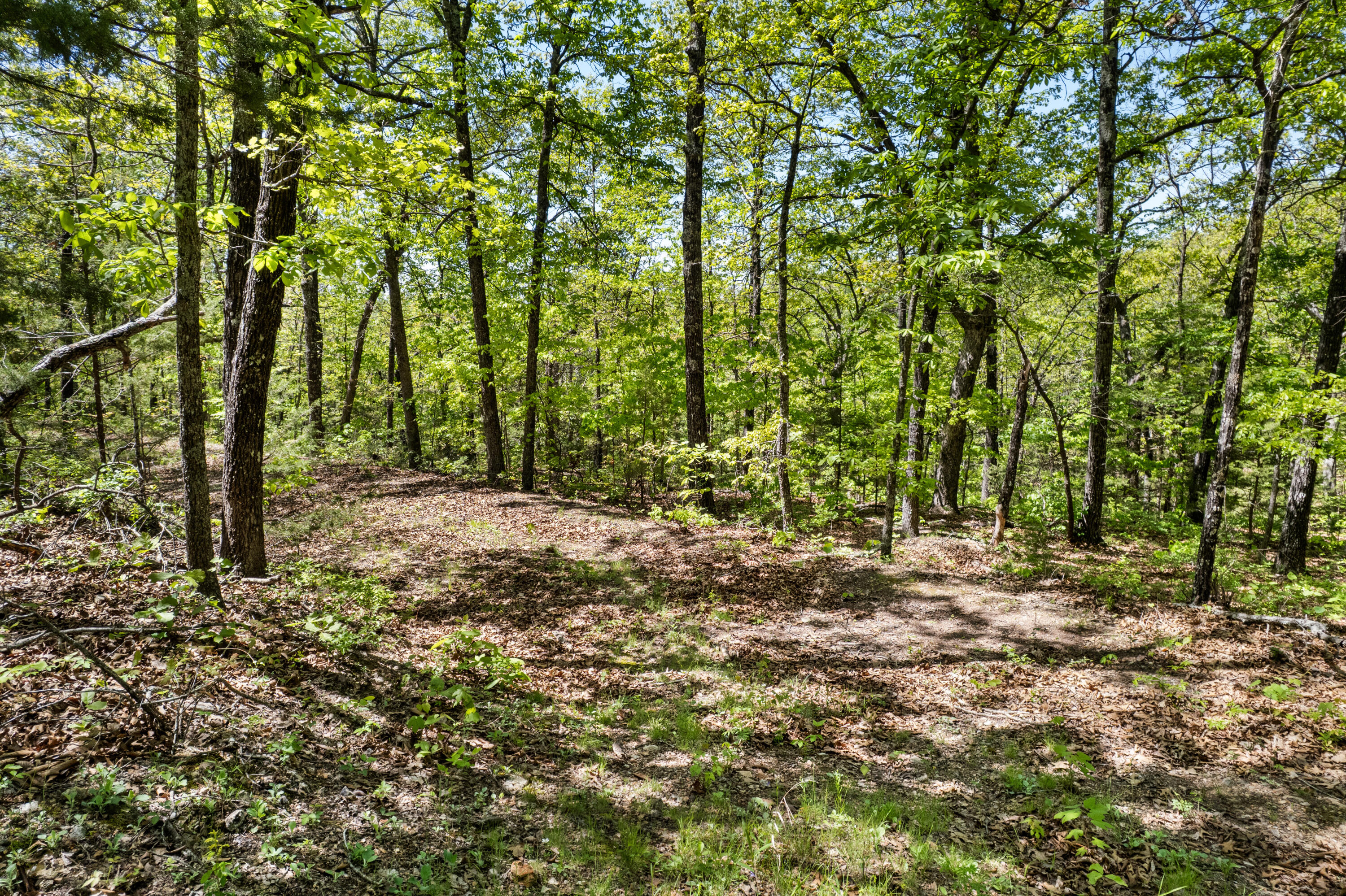 6891 North State Highway 125 Property Photo 14