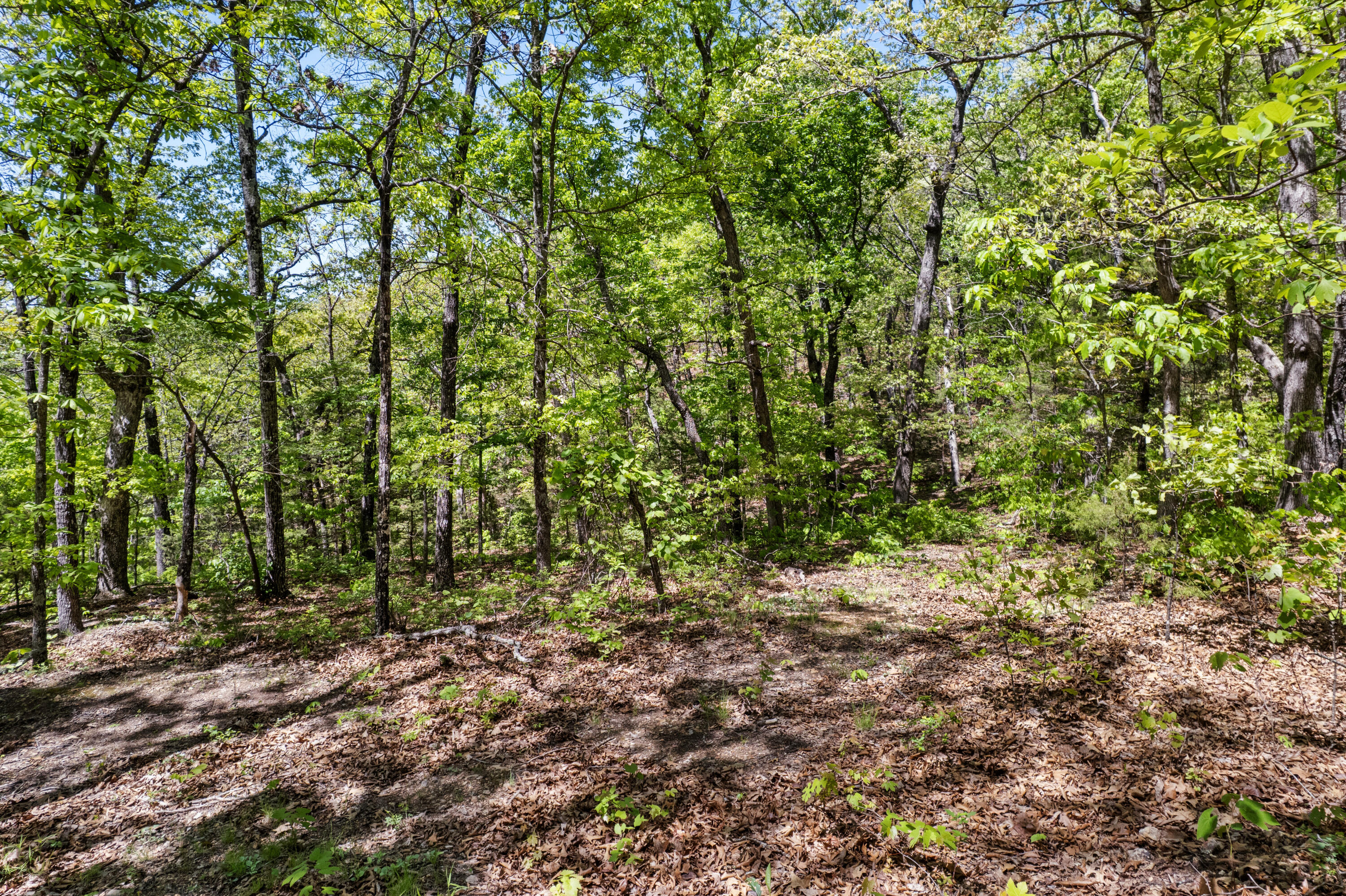6891 North State Highway 125 Property Photo 15