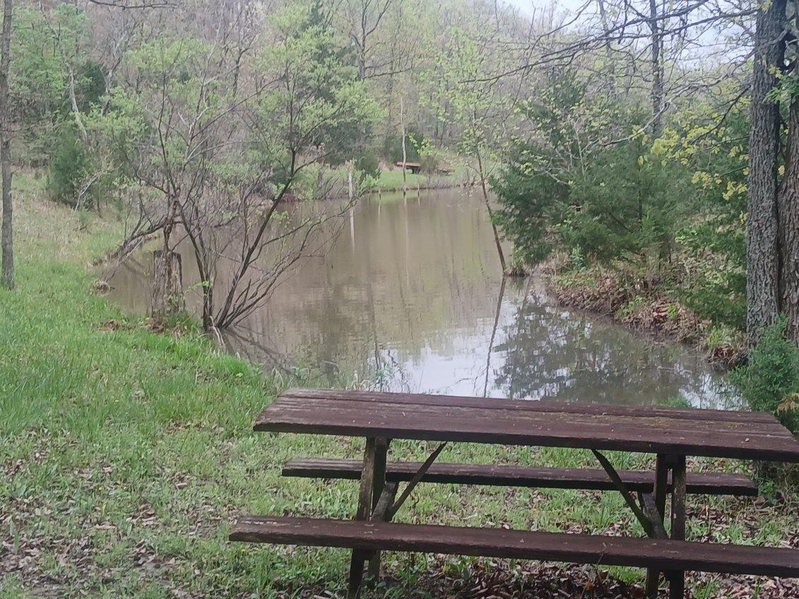 40 Acres State Road D Property Photo 1