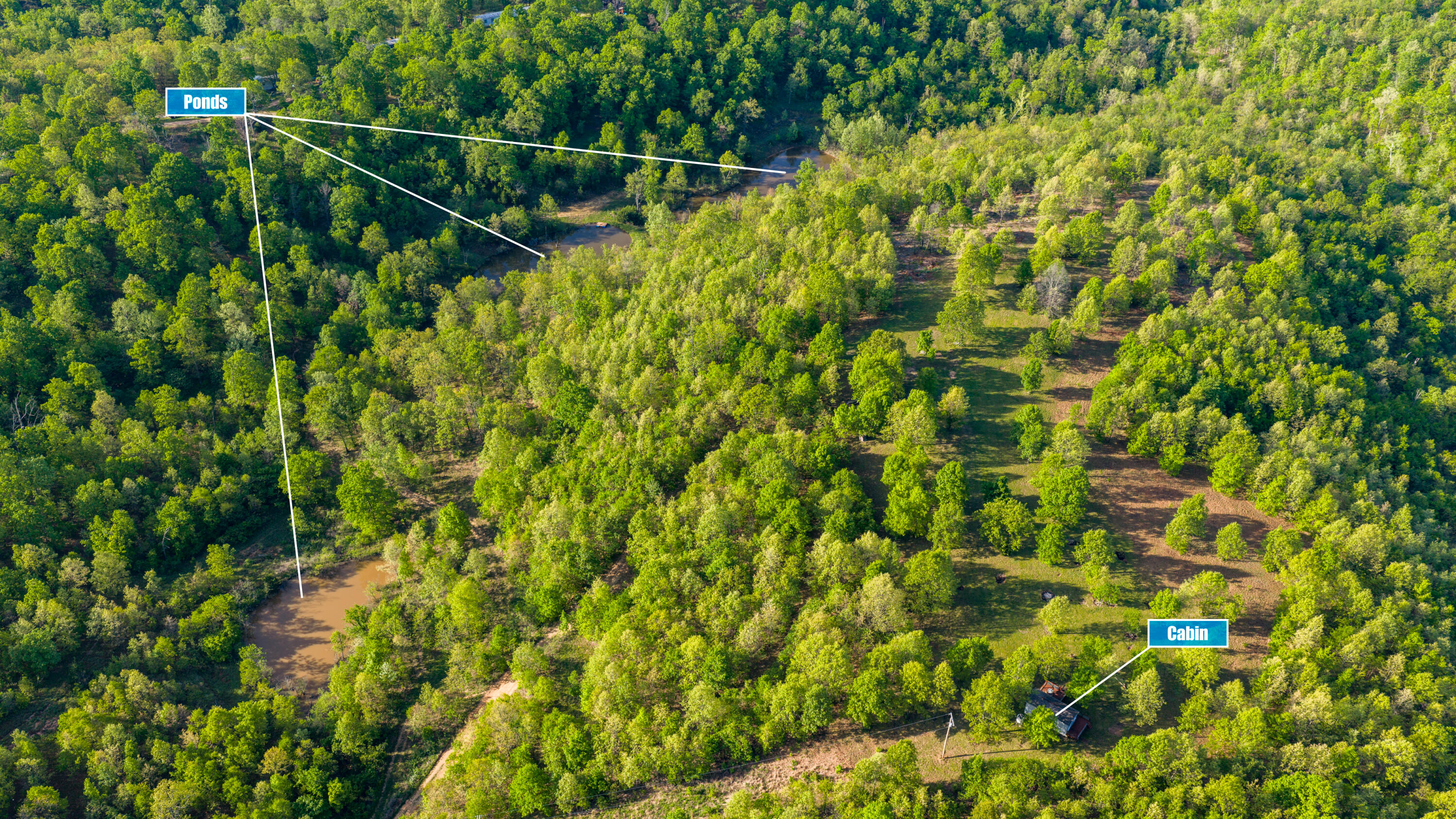40 Acres State Road D Property Photo 4