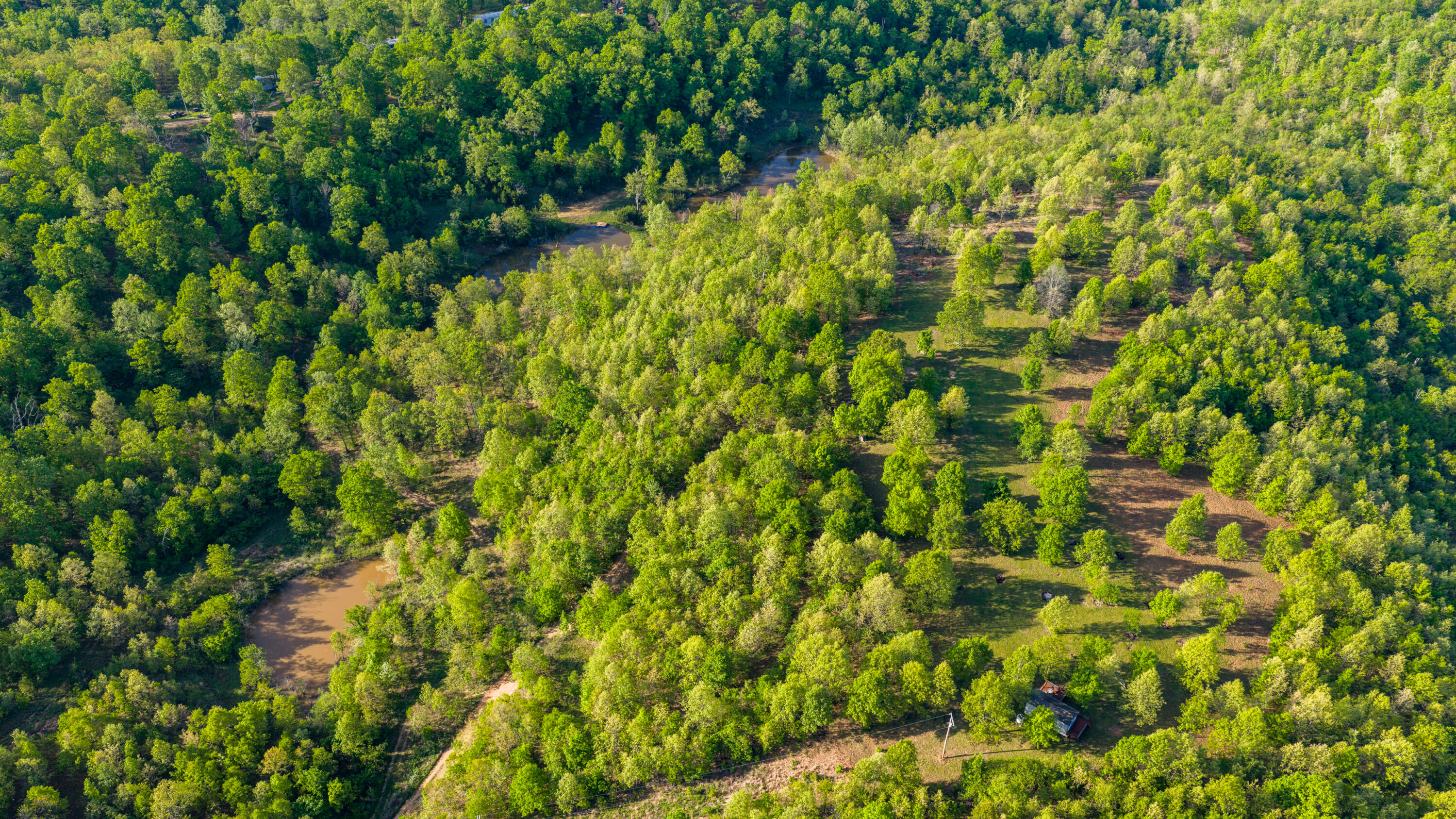 40 Acres State Road D Property Photo 5