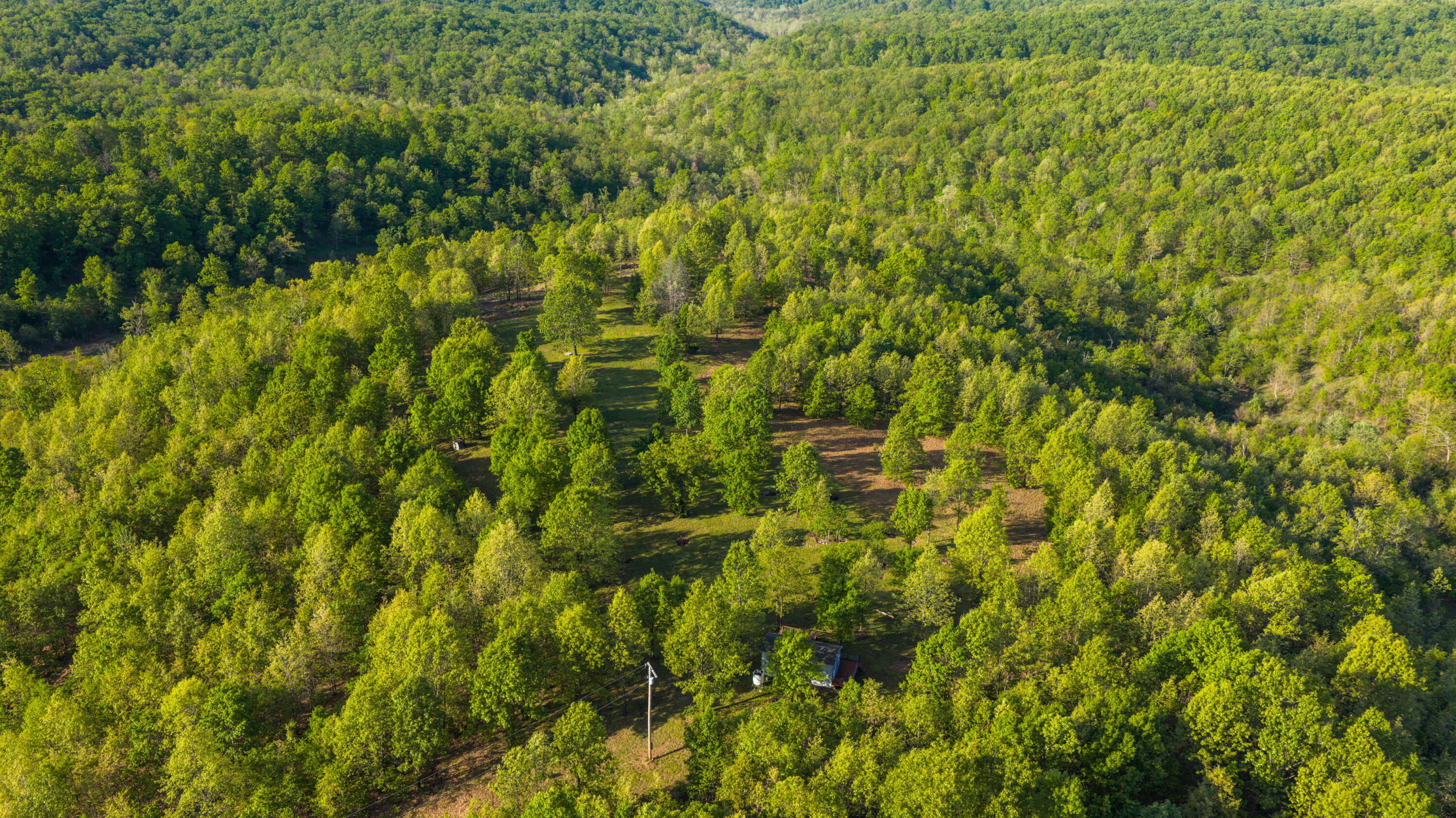 40 Acres State Road D Property Photo 6