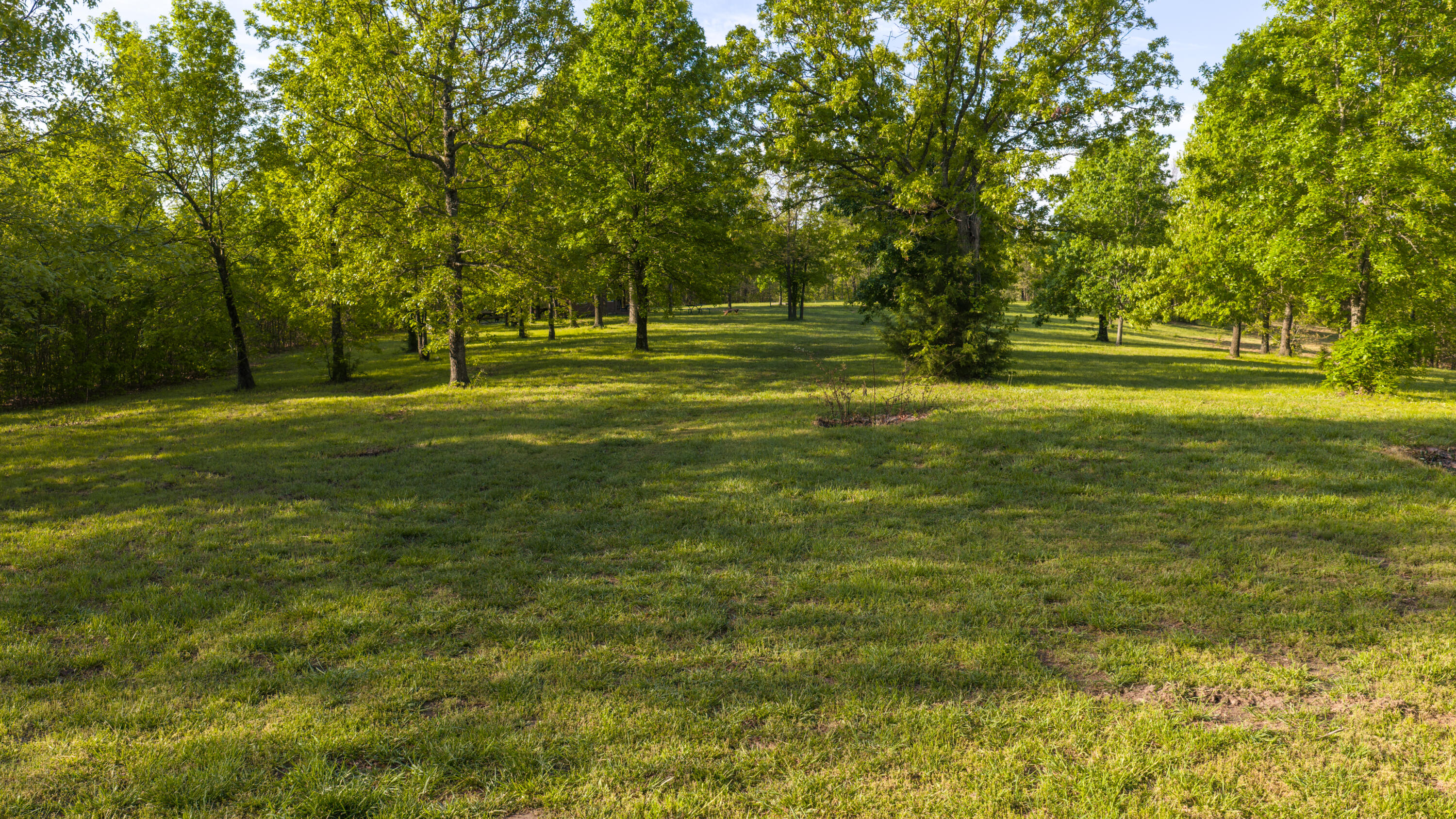 40 Acres State Road D Property Photo 7
