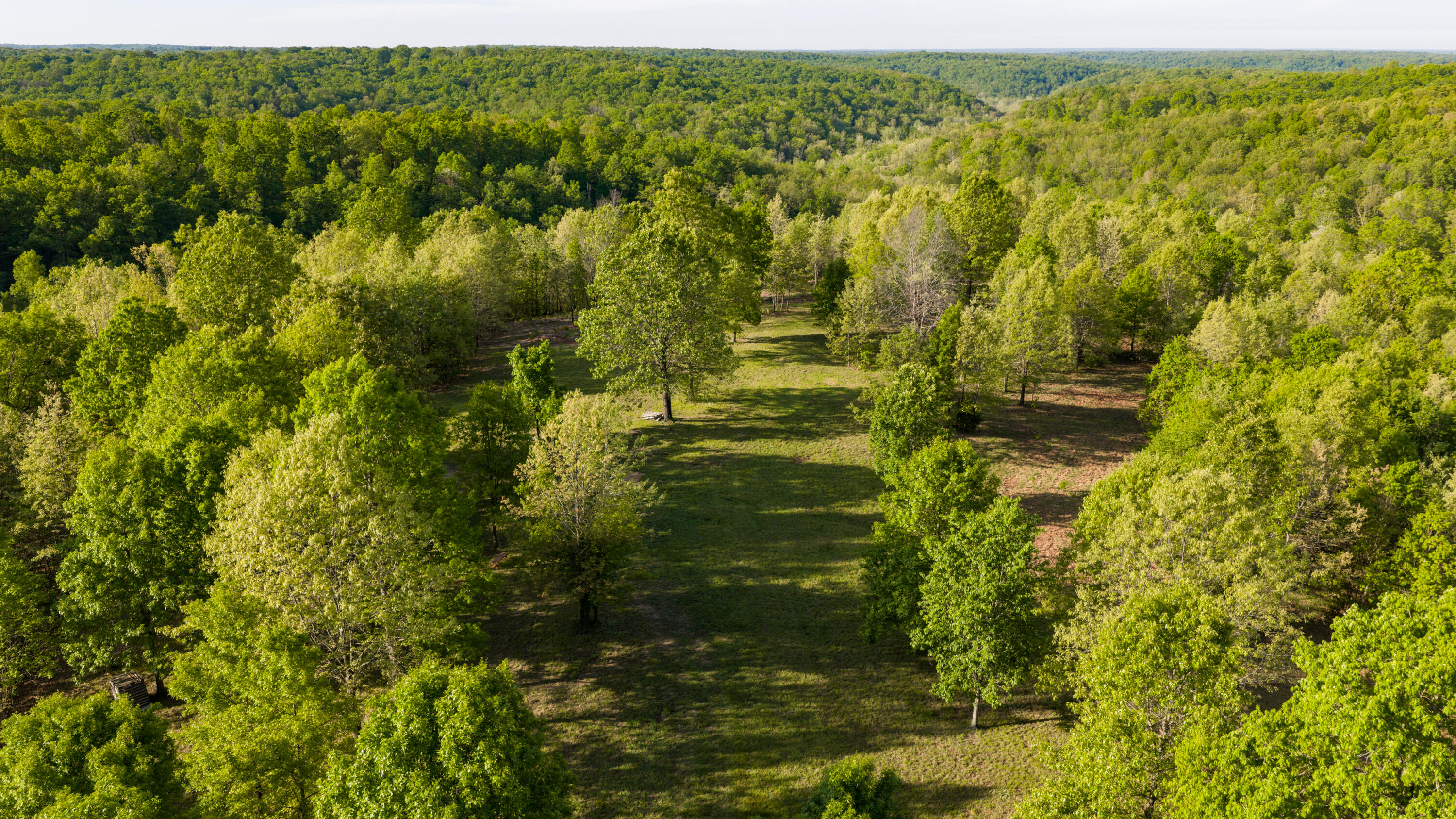 40 Acres State Road D Property Photo 9