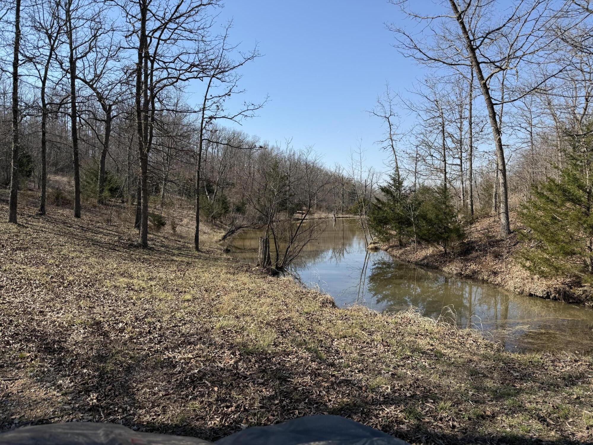 40 Acres State Road D Property Photo 14