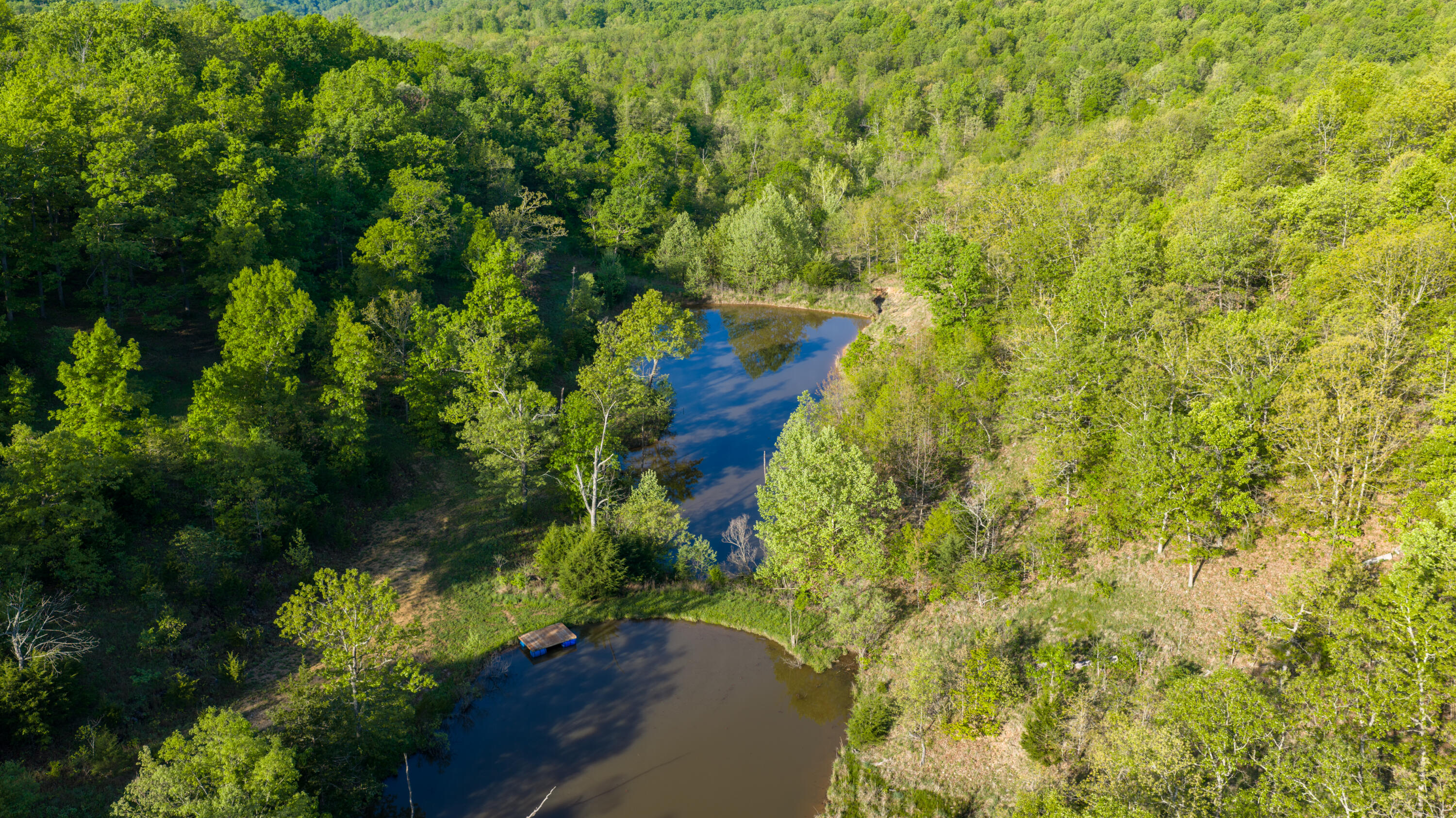 40 Acres State Road D Property Photo 15
