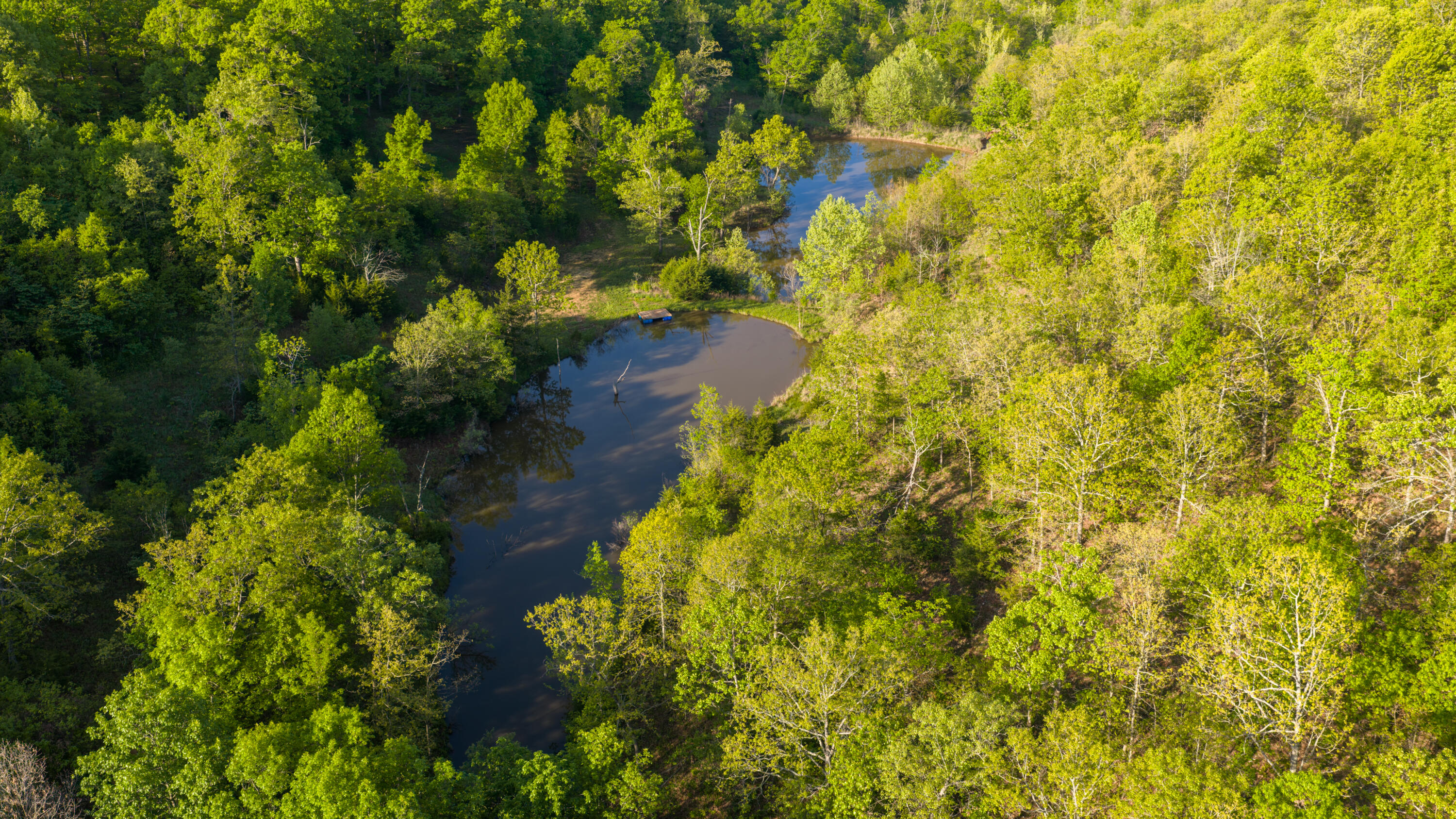 40 Acres State Road D Property Photo 16