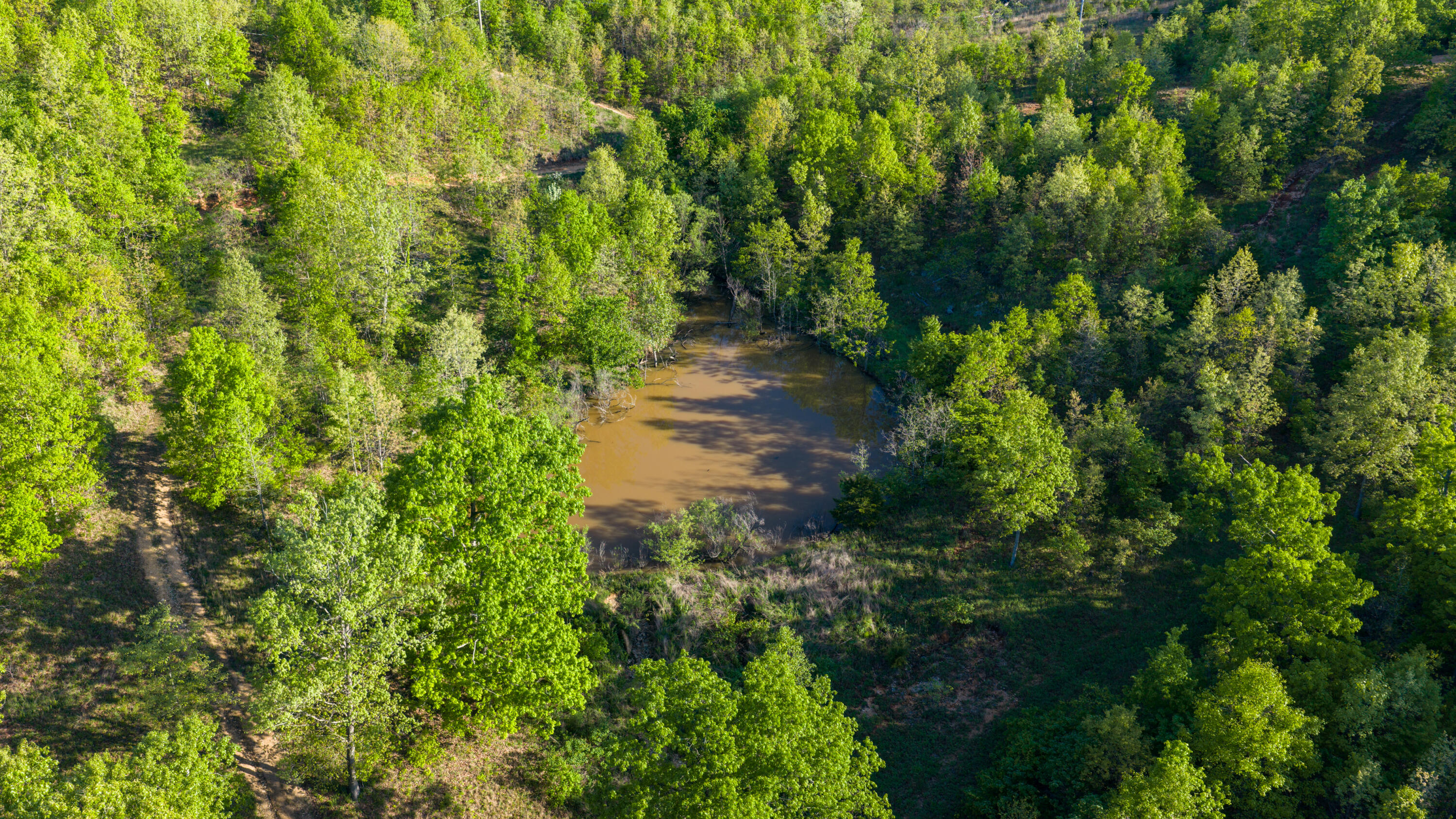 40 Acres State Road D Property Photo 17